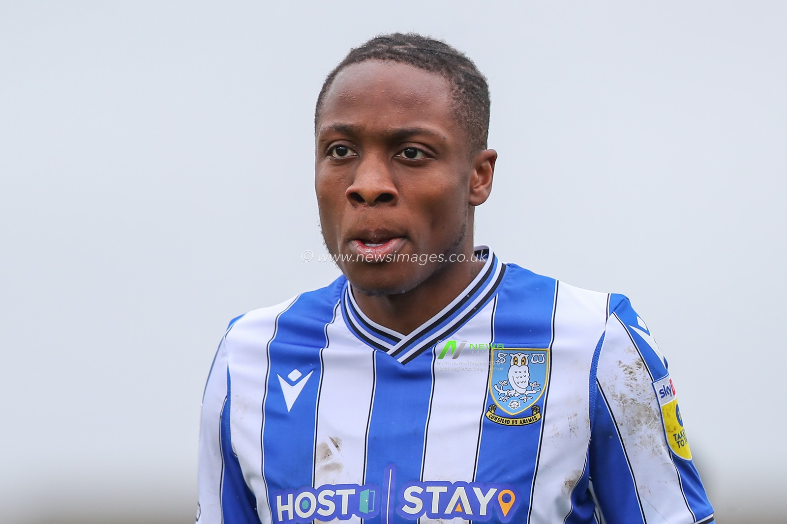 Dennis Adeniran #8 of Sheffield Wednesday during the Sky Bet League 1 match Forest Green Rovers vs Sheffield Wednesday at The New Lawn, Nailsworth, United Kingdom, 26th March 2023

(Photo by Gareth Evans/News Images)