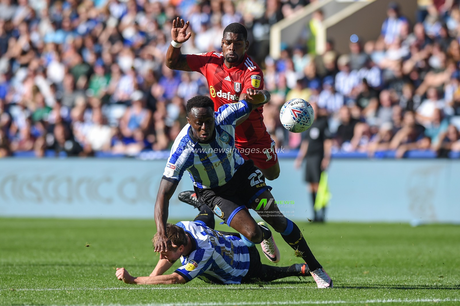 21st September 2019 , Hillsborough, Sheffield, England; Sky Bet Championship, Sheffield Wednesday vs Fulham : 
Credit: Dean Williams/News Images, Ivan Cavaleiro (19) of Fulham goes through the Sheffield Wednesday defence to hit a shot in the first half.

English Football League images are subject to DataCo Licence