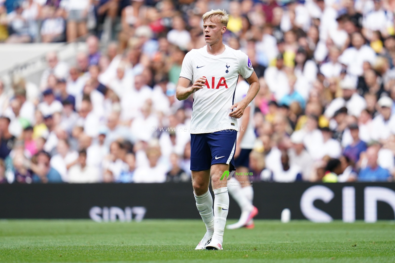 pre-season friendly: Tottenham Hotspur v Hoffenheim