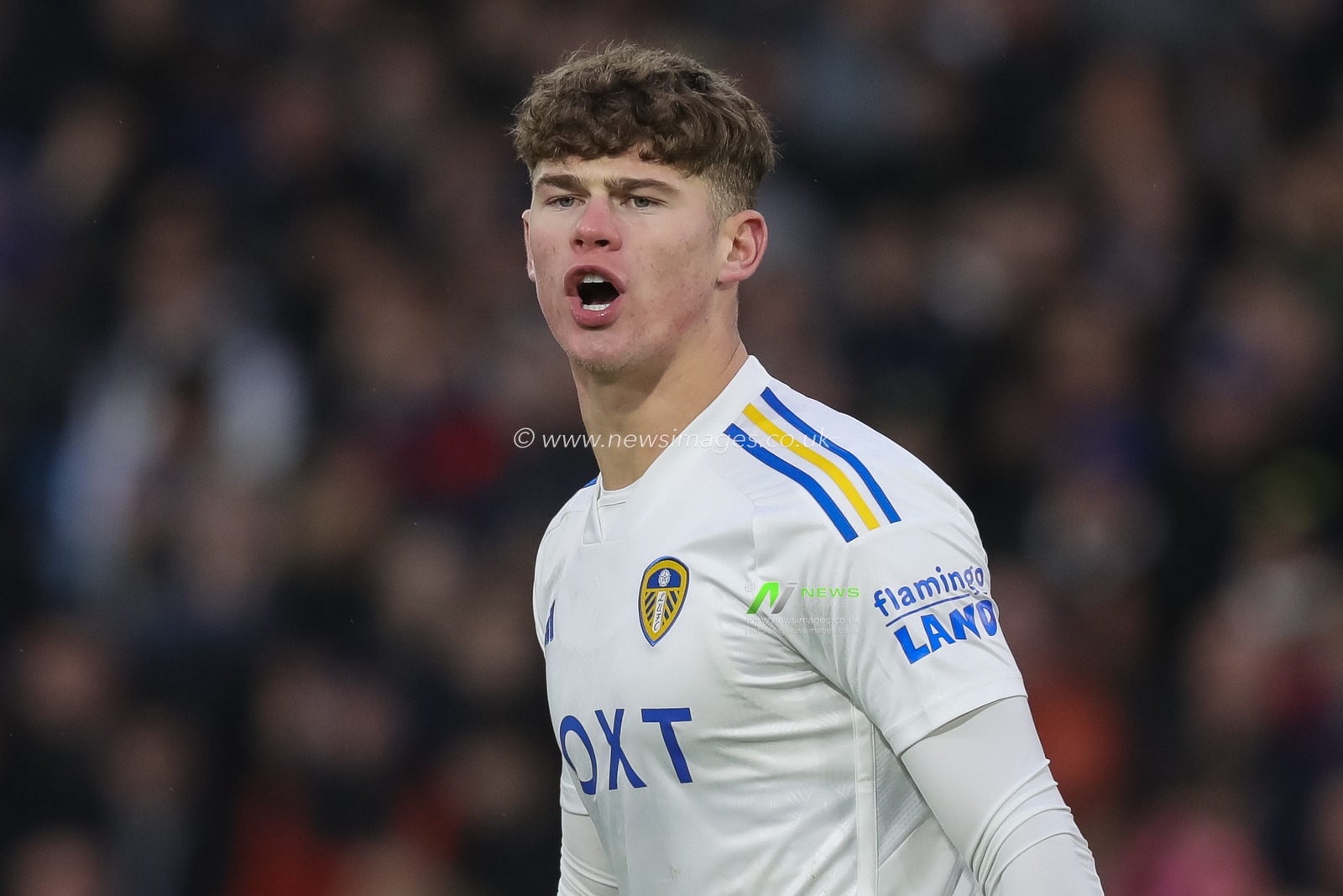 Charlie Cresswell of Leeds United gestures and reacts during the Sky Bet Championship match Leeds United vs Rotherham United at Elland Road, Leeds, United Kingdom, 10th February 2024

(Photo by James Heaton/News Images)