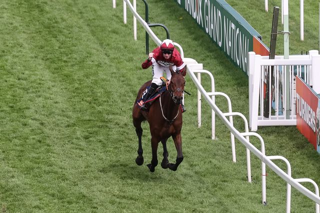 Brighterdaysahead ridden by Jack Kennedy and trained by Gordon Elliott wins the 13:55 Turners Mersey Novices' Hurdle during the Randox Grand National Day 2024 at Aintree Racecourse, Liverpool, United Kingdom, 13th April 2024

(Photo by Mark Cosgrove/News Images)