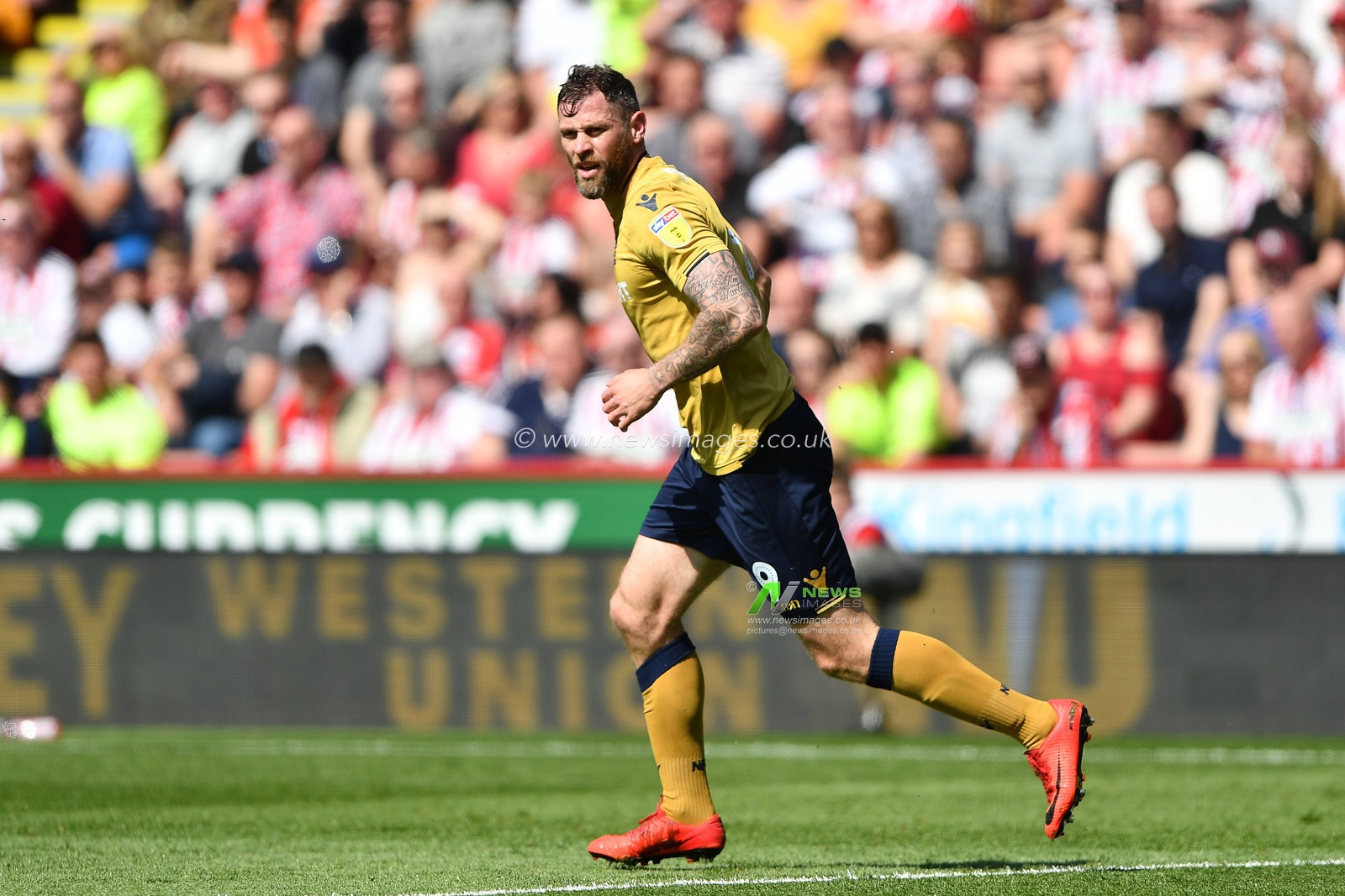 19th April 2019, Bramall Lane, Sheffield, England; Sky Bet Championship, Sheffield United vs Nottingham Forest ; Daryl Murphy (9) of Nottingham Forest 


Credit: Jon Hobley/News Images

English Football League images are subject to DataCo Licence
