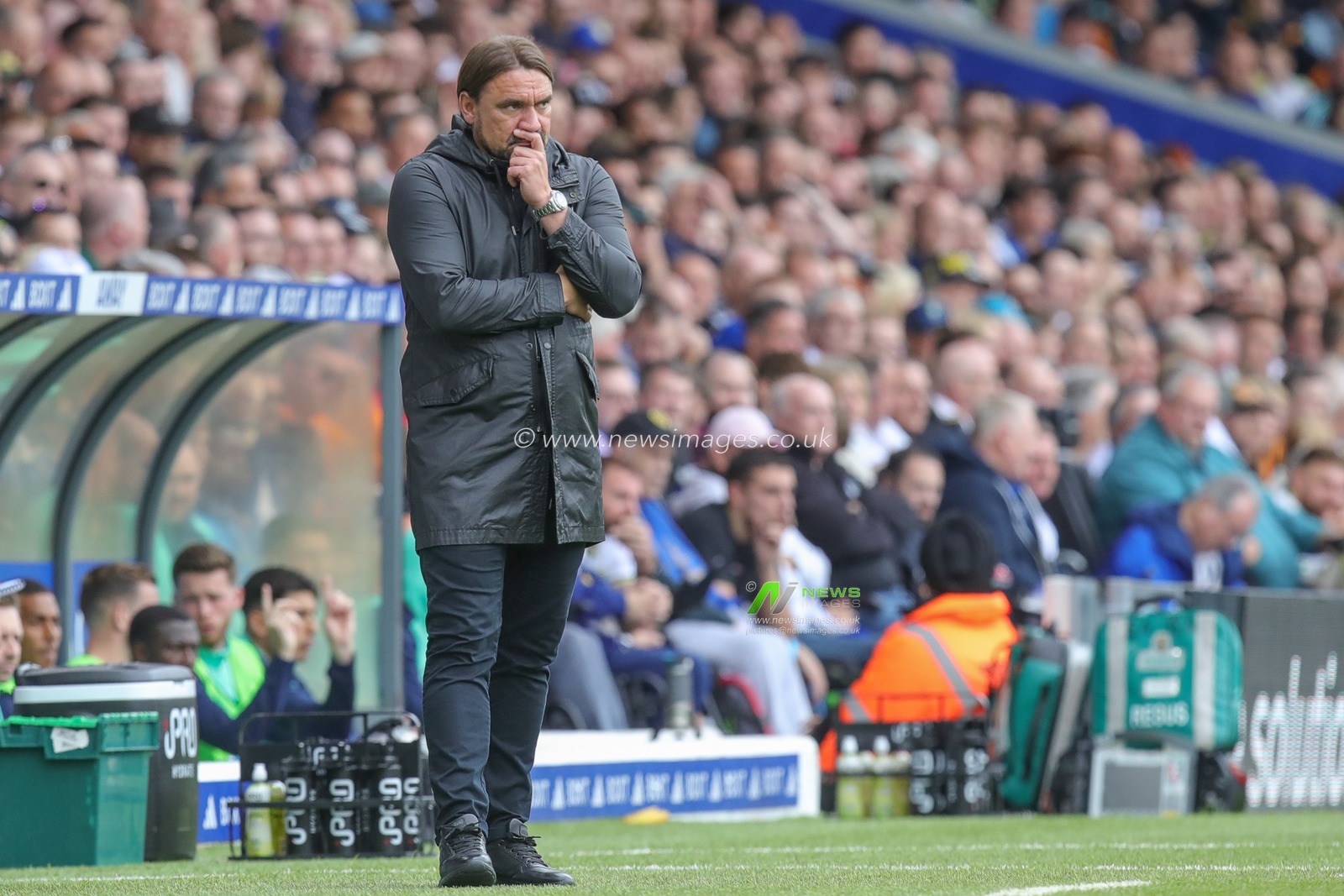 Daniel Farke manager of Leeds United reacts to going 0-2 down during the Sky Bet Championship match Leeds United vs Cardiff City at Elland Road, Leeds, United Kingdom, 6th August 2023

(Photo by James Heaton/News Images)