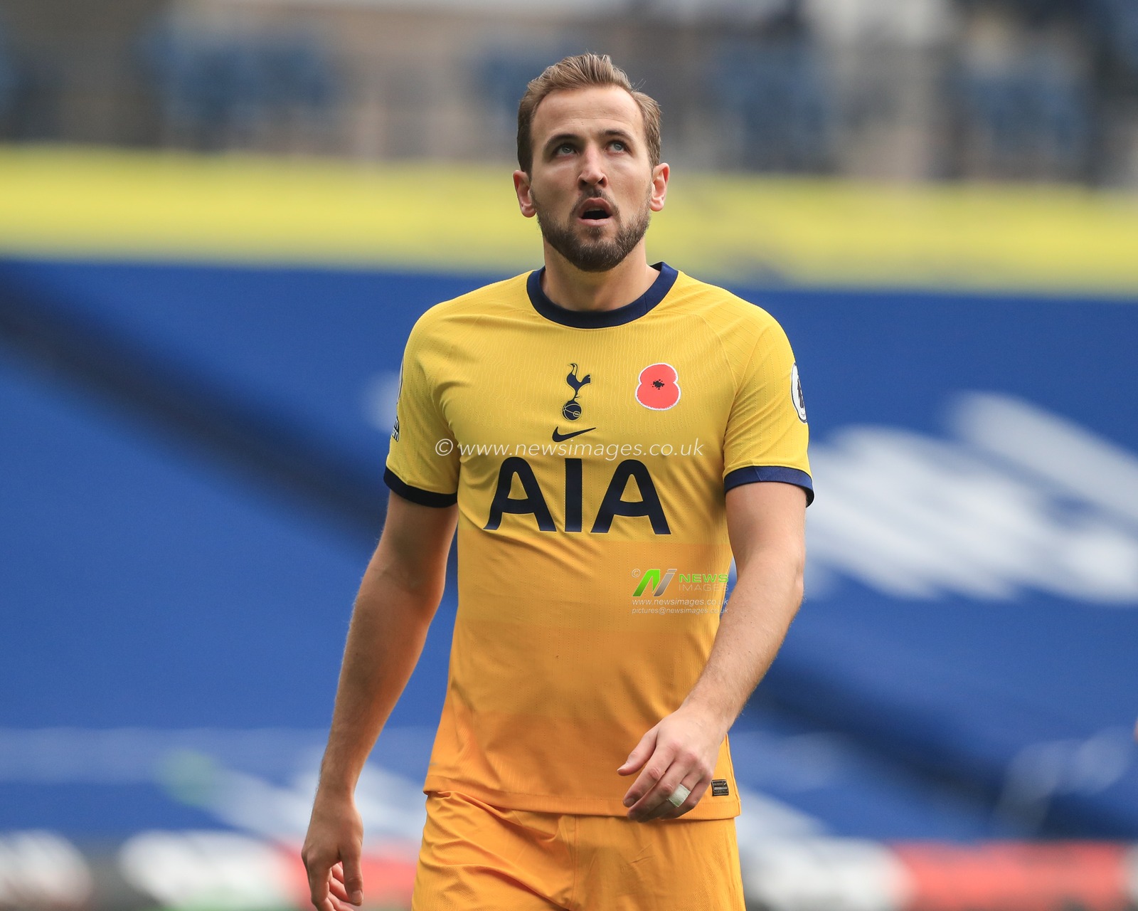 Harry Kane #10 of Tottenham Hotspur during the game