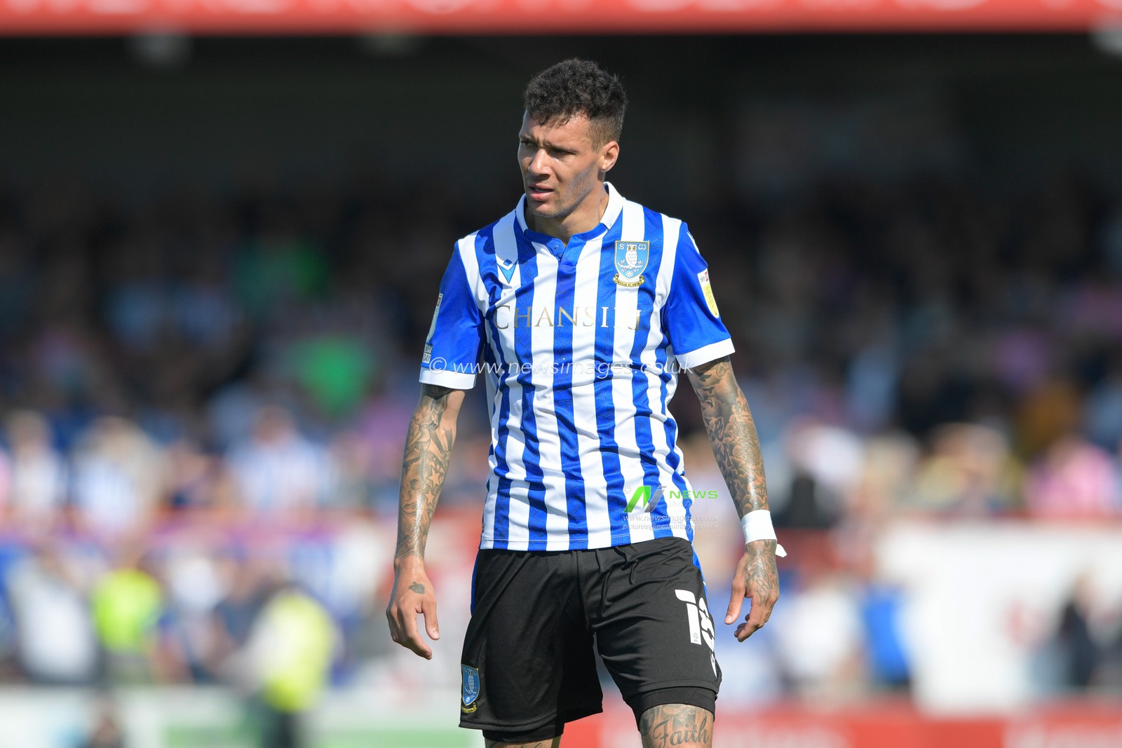 Marvin Johnson #18 of Sheffield Wednesday in action during the game