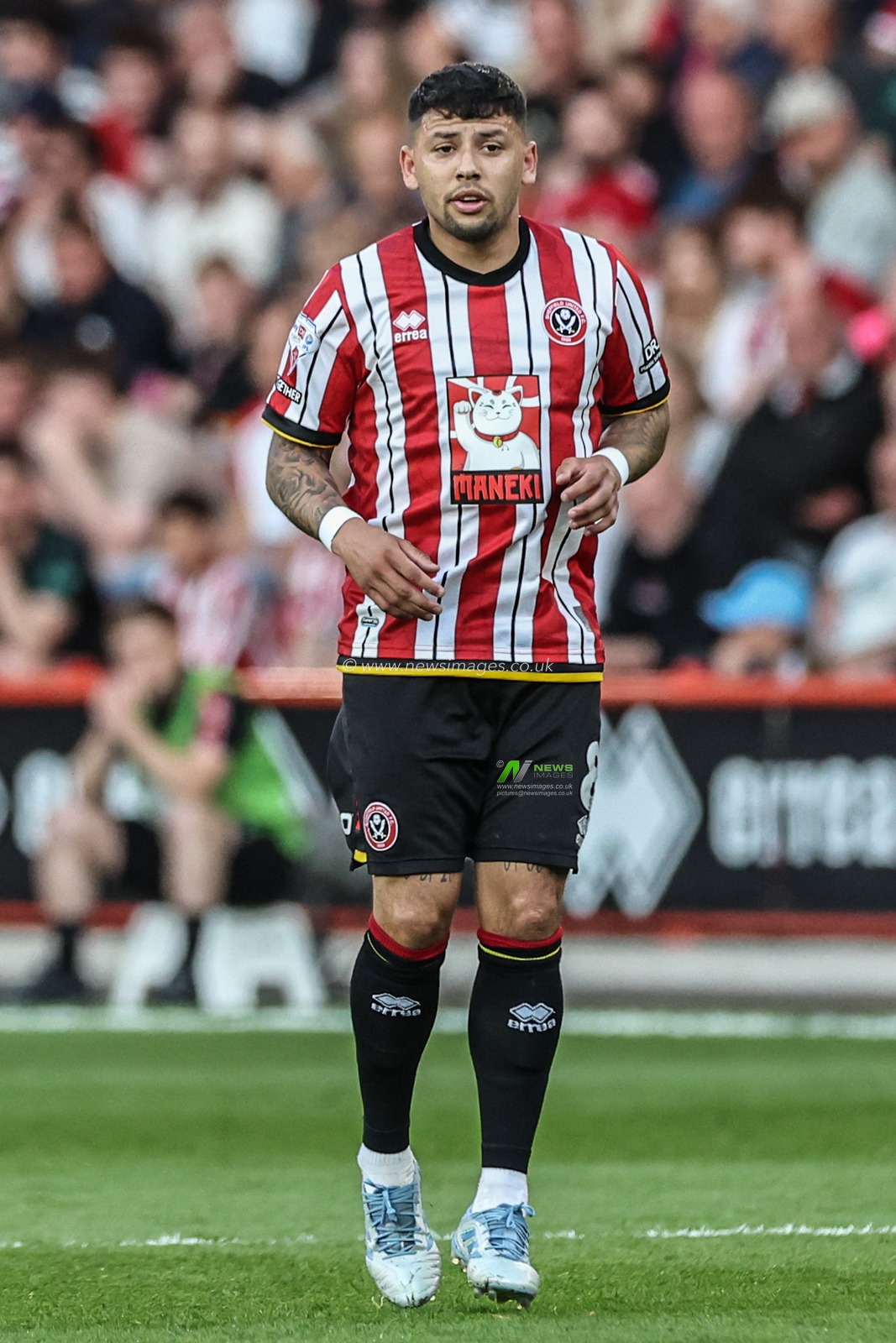 Gustavo Hamer of Sheffield United during the Sky Bet Championship Playoff Semi-final match Sheffield United vs Bristol City at Bramall Lane, Sheffield, United Kingdom, 12th May 2025

(Photo by Mark Cosgrove/News Images)