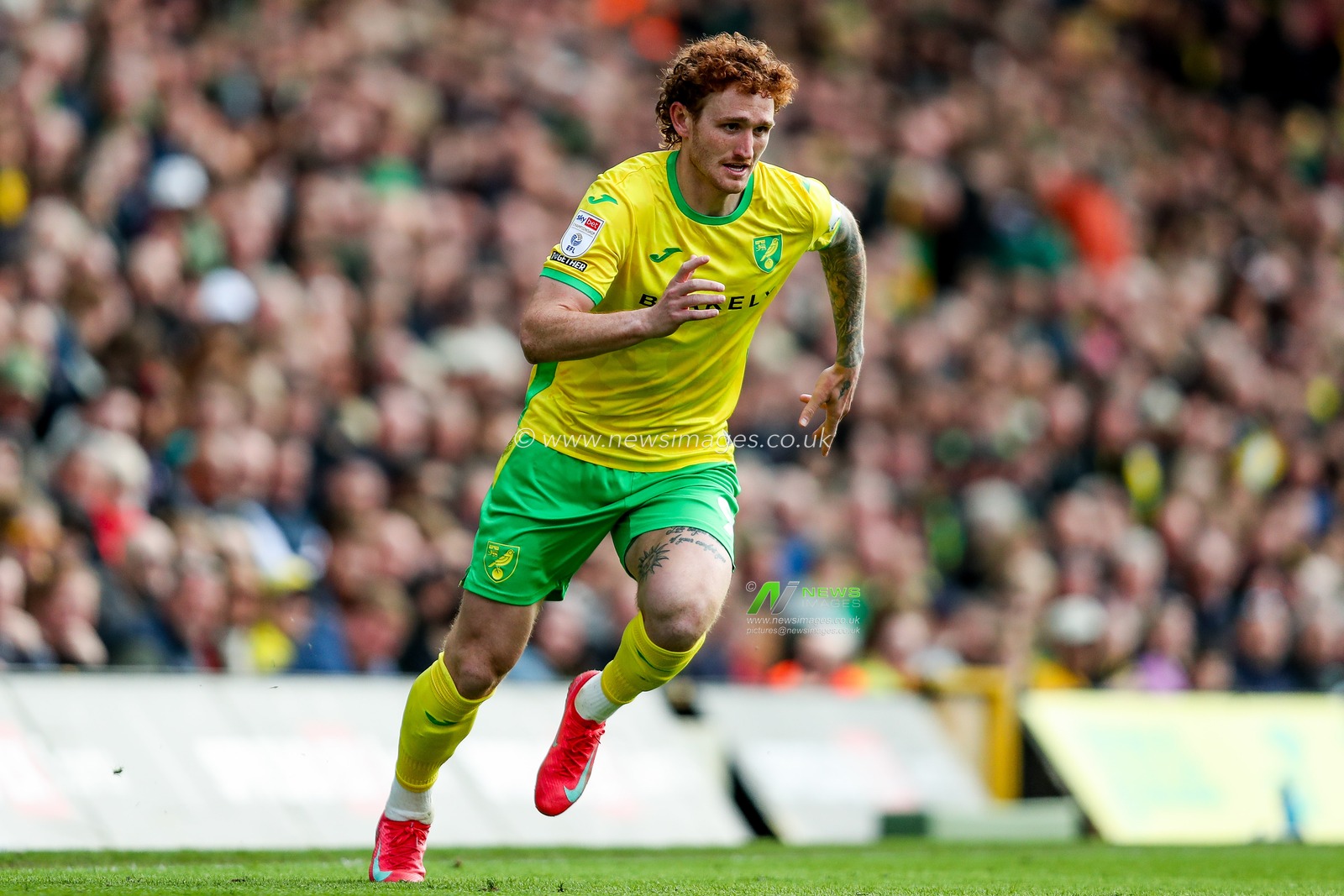 Josh Sargent of Norwich City in action during the Sky Bet Championship match Norwich City vs West Bromwich Albion at Carrow Road, Norwich, United Kingdom, 29th March 2025

(Photo by Izzy Poles/News Images)
