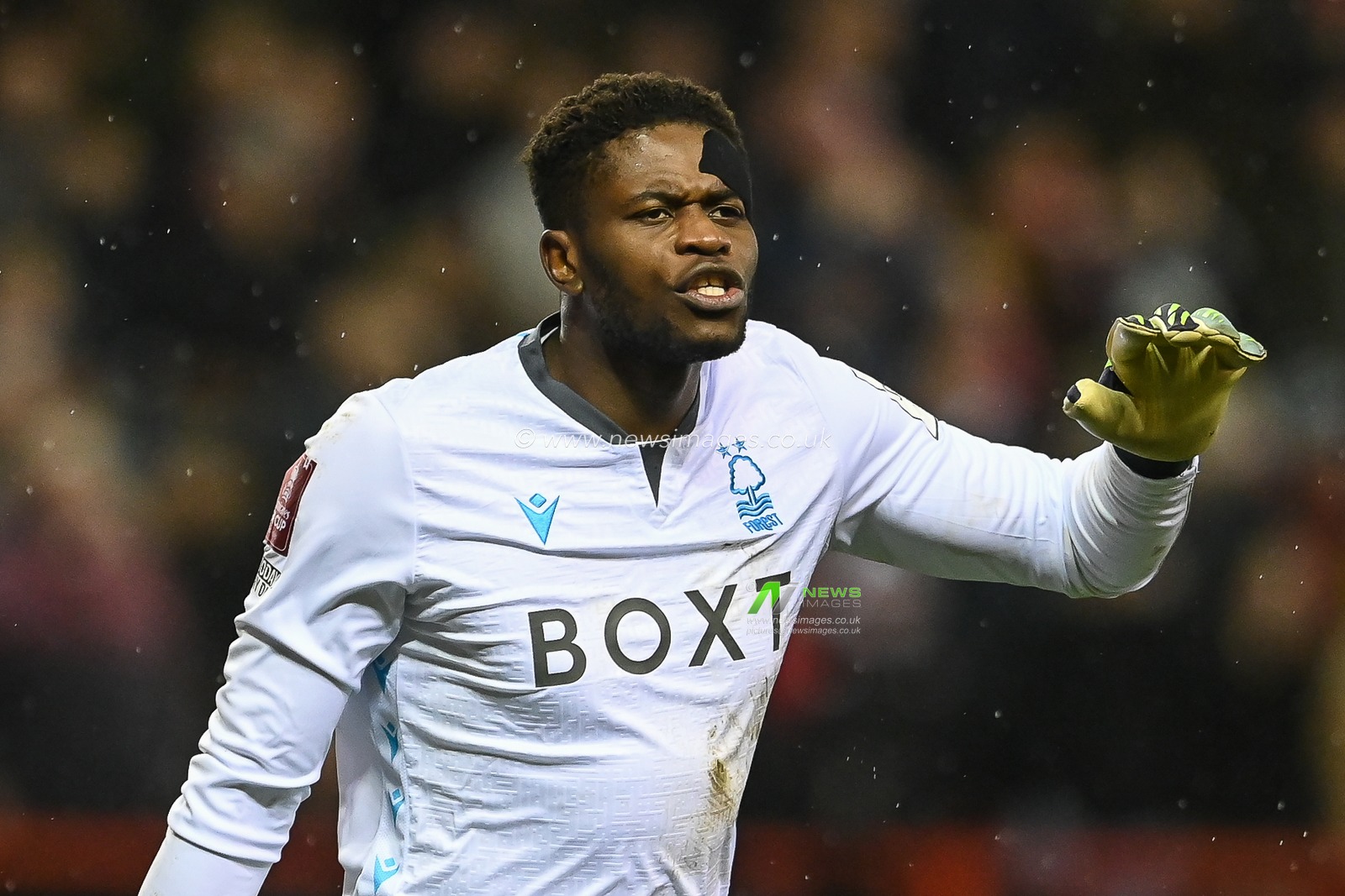 Brice Samba #30 of Nottingham Forest during the game