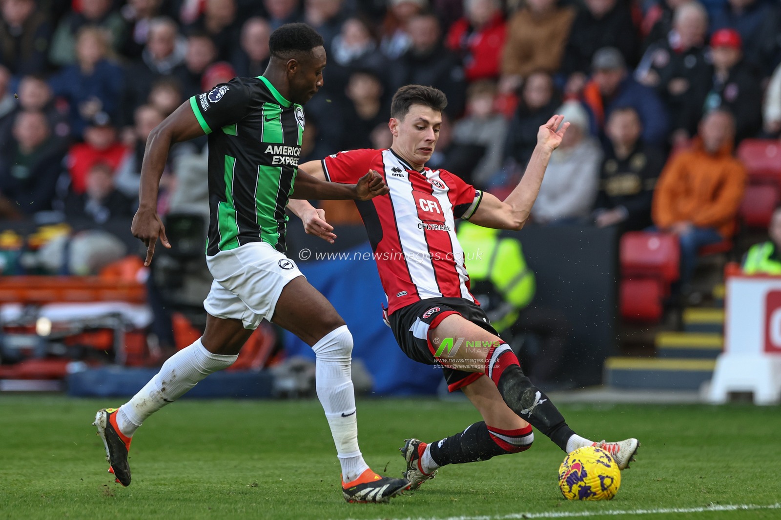 Anel AhmedhodÅ¾iÄ‡ of Sheffield United tackles Danny Welbeck of Brighton & Hove Albion during the Premier League match Sheffield United vs Brighton and Hove Albion at Bramall Lane, Sheffield, United Kingdom, 18th February 2024

(Photo by Mark Cosgrove/News Images)