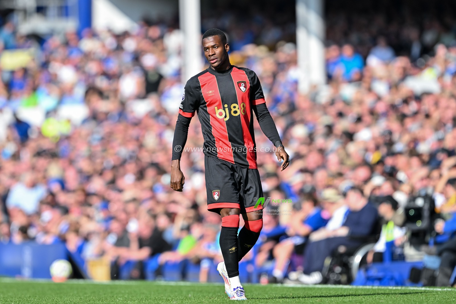 Dango Ouattara of Bournemouth during the Premier League match Everton vs Bournemouth at Goodison Park, Liverpool, United Kingdom, 31st August 2024

(Photo by Cody Froggatt/News Images)