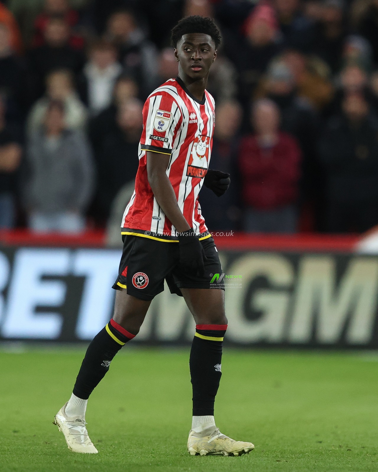 Jesuran Rak-Sakyi of Sheffield United during the Sky Bet Championship match Sheffield United vs Sunderland at Bramall Lane, Sheffield, United Kingdom, 29th November 2024

(Photo by Alfie Cosgrove/News Images)