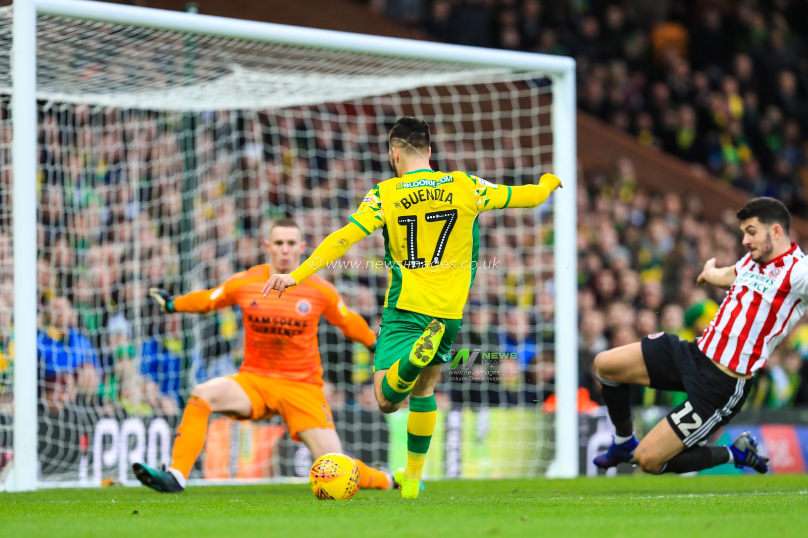 26th January 2019, Carrow Road, Norfolk, England; Sky Bet Championship, Norwich City vs Sheffield United ;  Emiliano Buendia (17) of Norwich City comes close to scoring in the first half


Credit: Georgie Kerr/News Images

English Football League images are subject to DataCo Licence