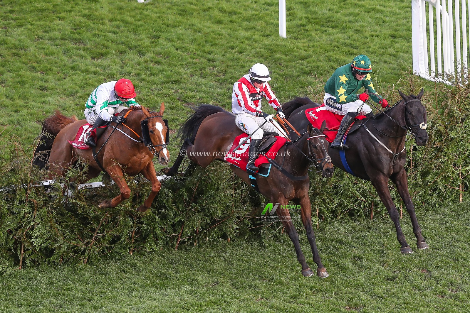 Keith Donoghue on Stumptown and Miss Gina Andrews on Latenightpass are neck and neck over the final jump of the Glenfarclas Cross Country Chase during the Cheltenham Festival 2025 Style Wednesday at Cheltenham Racecourse, Cheltenham, United Kingdom, 12th March 2025

(Photo by Gareth Evans/News Images)