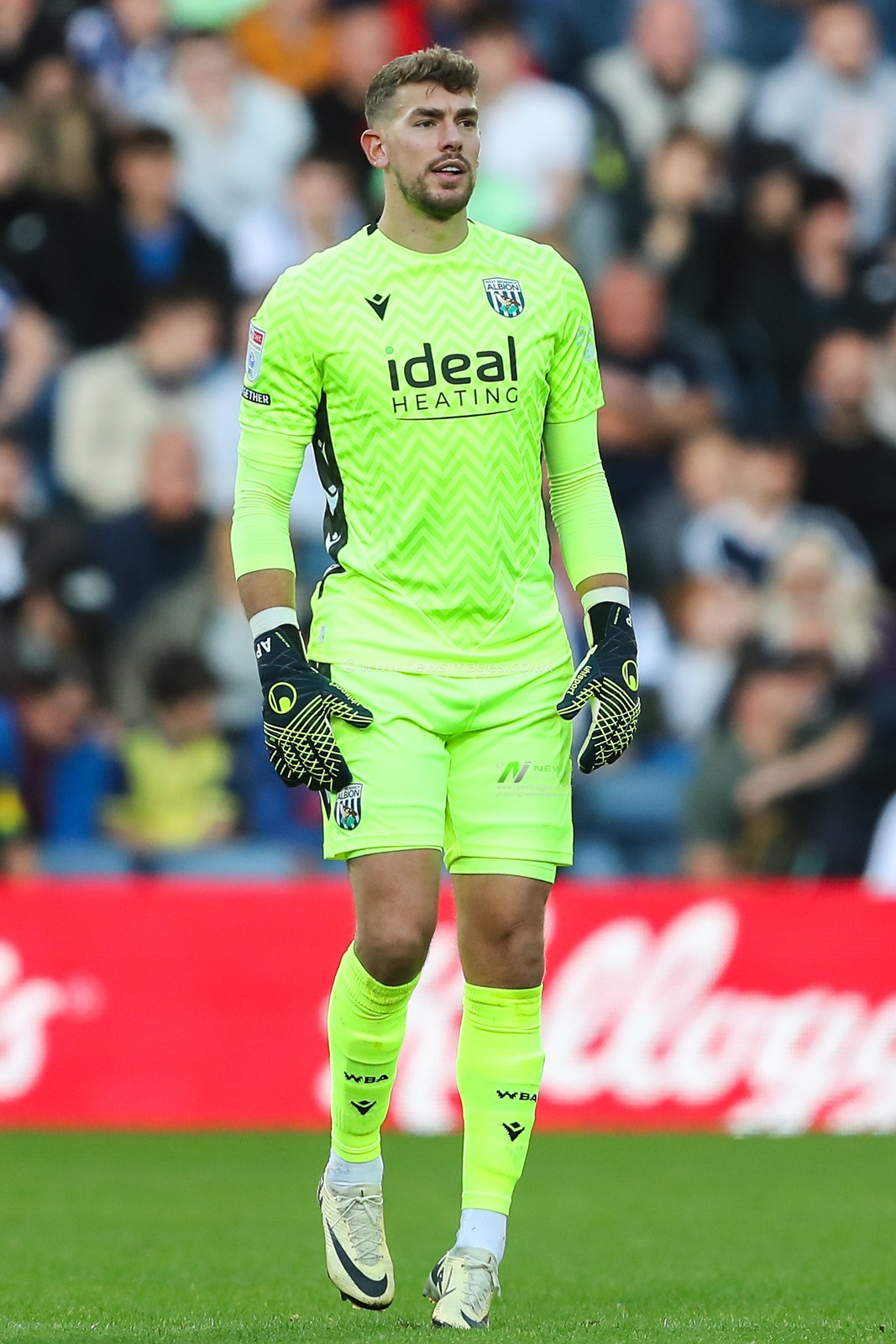 Alex Palmer of West Bromwich Albion during the Sky Bet Championship match West Bromwich Albion vs Cardiff City at The Hawthorns, West Bromwich, United Kingdom, 26th October 2024

(Photo by Gareth Evans/News Images)