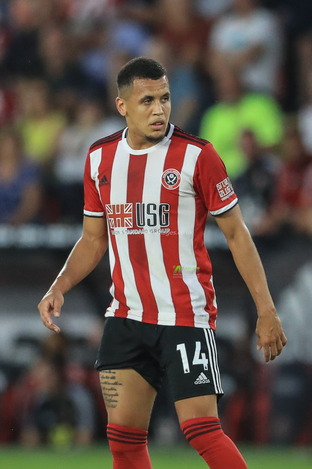 27th August 2019 , Bramall Lane, Sheffield, England; Carabao Cup Football, Second Round, Sheffield United vs Blackburn Rovers ; Ravel Morrison (14) of Sheffield United during the game


Credit: Mark Cosgrove/News Images

English Football League images are subject to DataCo Licence