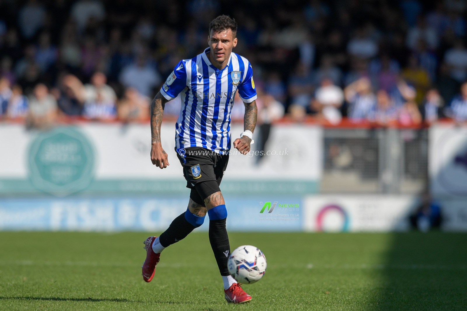 Marvin Johnson #18 of Sheffield Wednesday runs forward with the ball
