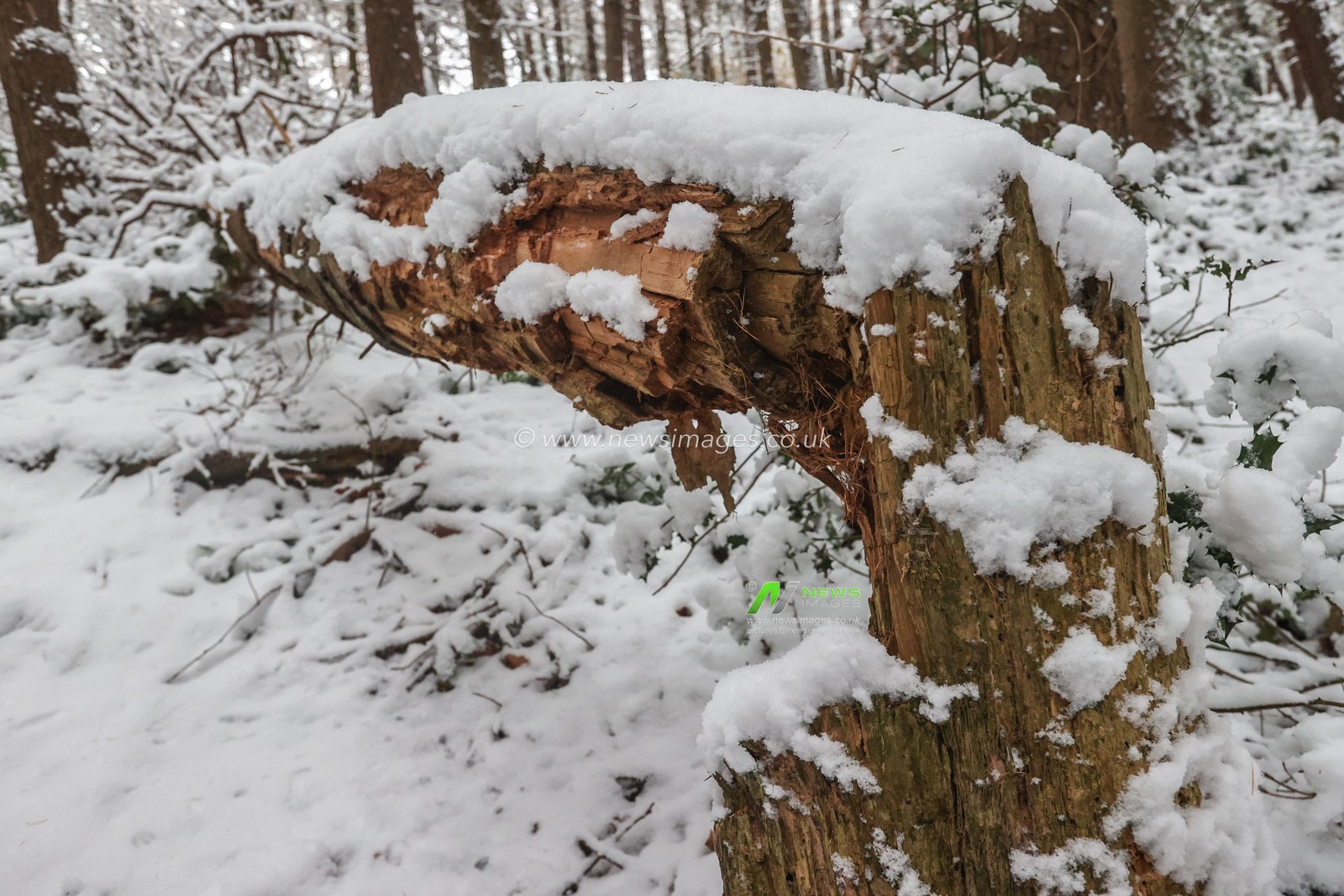 Snow Fall at Langsett Reservoir , Langsett, United Kingdom, 19th November 2024

(Photo by Alfie Cosgrove/News Images)