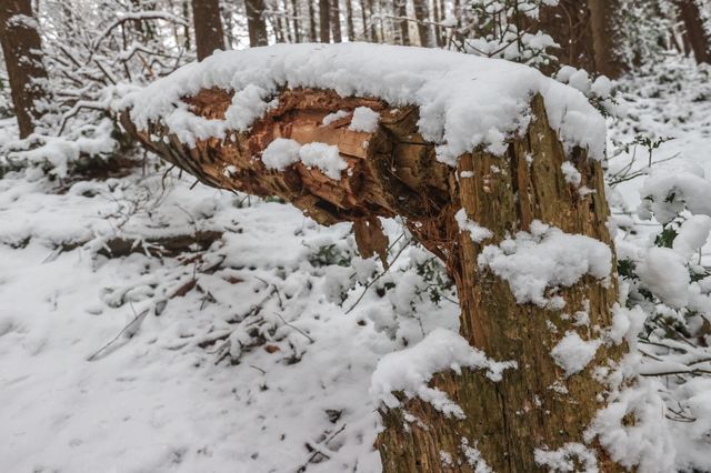 Snow Fall at Langsett Reservoir