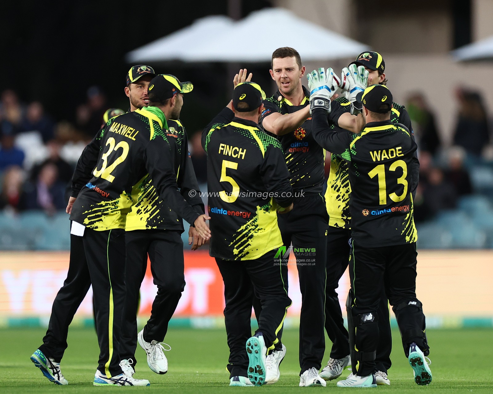 Josh Hazlewood of Australia celebrates after dismissing Alex Hales of England during the Dettol T20I Series 3 of 3 Australia vs England at Manuka Oval, Canberra, Australia, 14th October 2022

(Photo by Patrick Hoelscher/News Images)