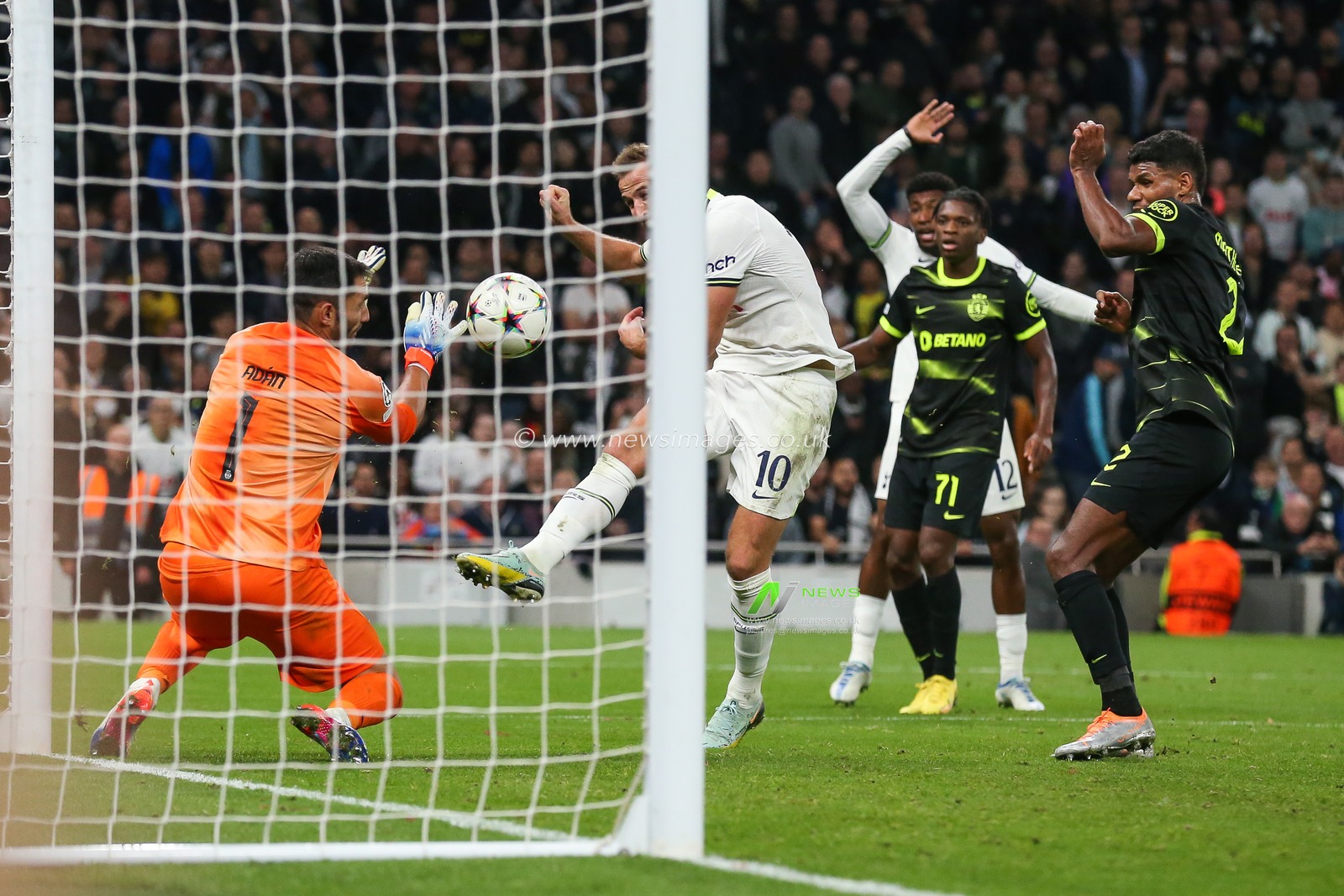Harry Kane #10 of Tottenham Hotspur scores to make it 2-1 but is ruled out after a VAR check during the UEFA Champions League match Tottenham Hotspur vs Sporting Lisbon at Tottenham Hotspur Stadium, London, United Kingdom, 26th October 2022

(Photo by Arron Gent/News Images)