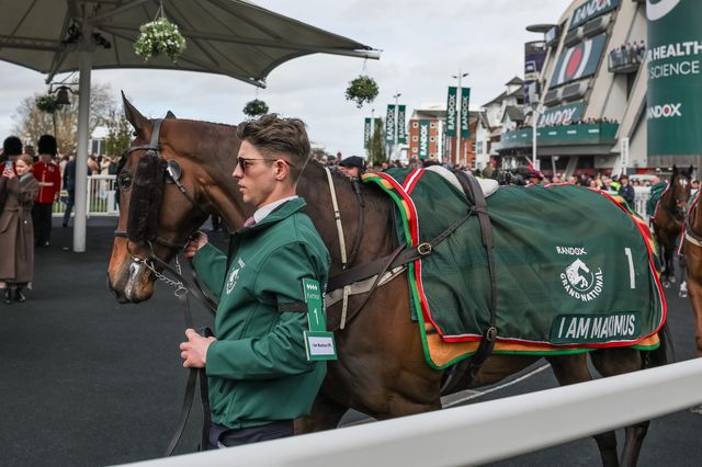 I Am Maximus is paraded ahead of the Grand National during the 2026 Randox Grand National Day at Aintree Racecourse, Aintree, United Kingdom on 11 April 2026

(Photo by Mark Cosgrove/News Images)