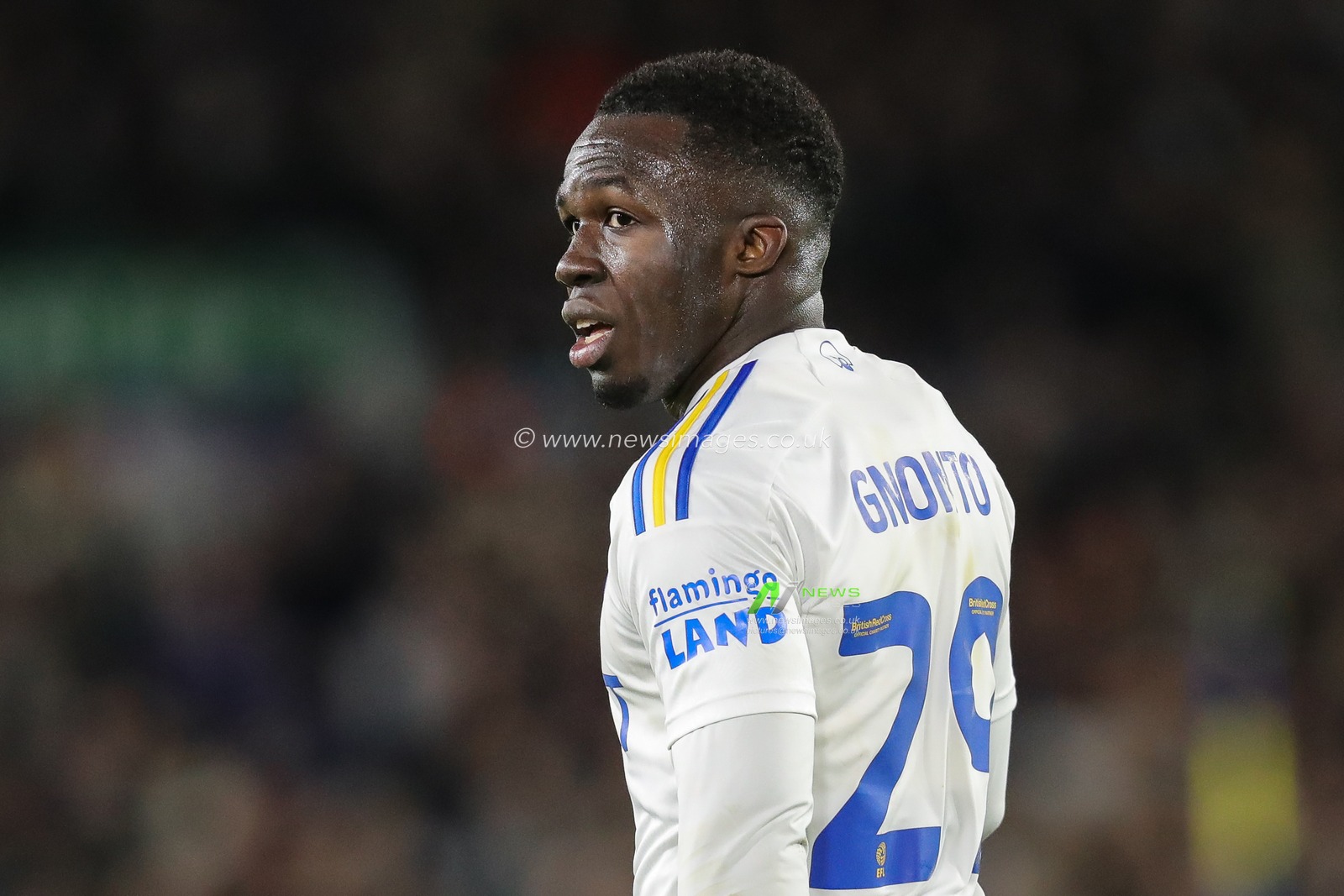 Wilfried Gnonto of Leeds United during the Sky Bet Championship match Leeds United vs Leicester City at Elland Road, Leeds, United Kingdom, 23rd February 2024

(Photo by James Heaton/News Images)