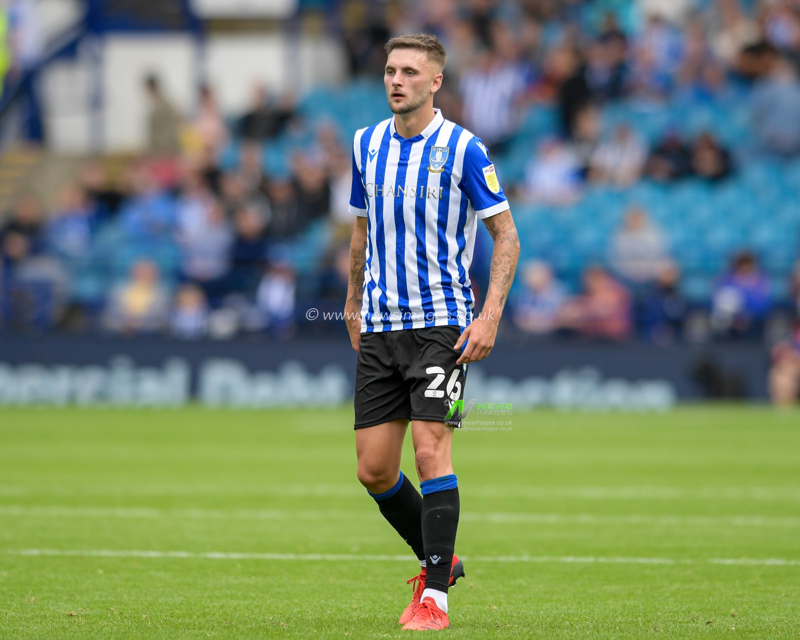 Lewis Wing #26 of Sheffield Wednesday in action during the game