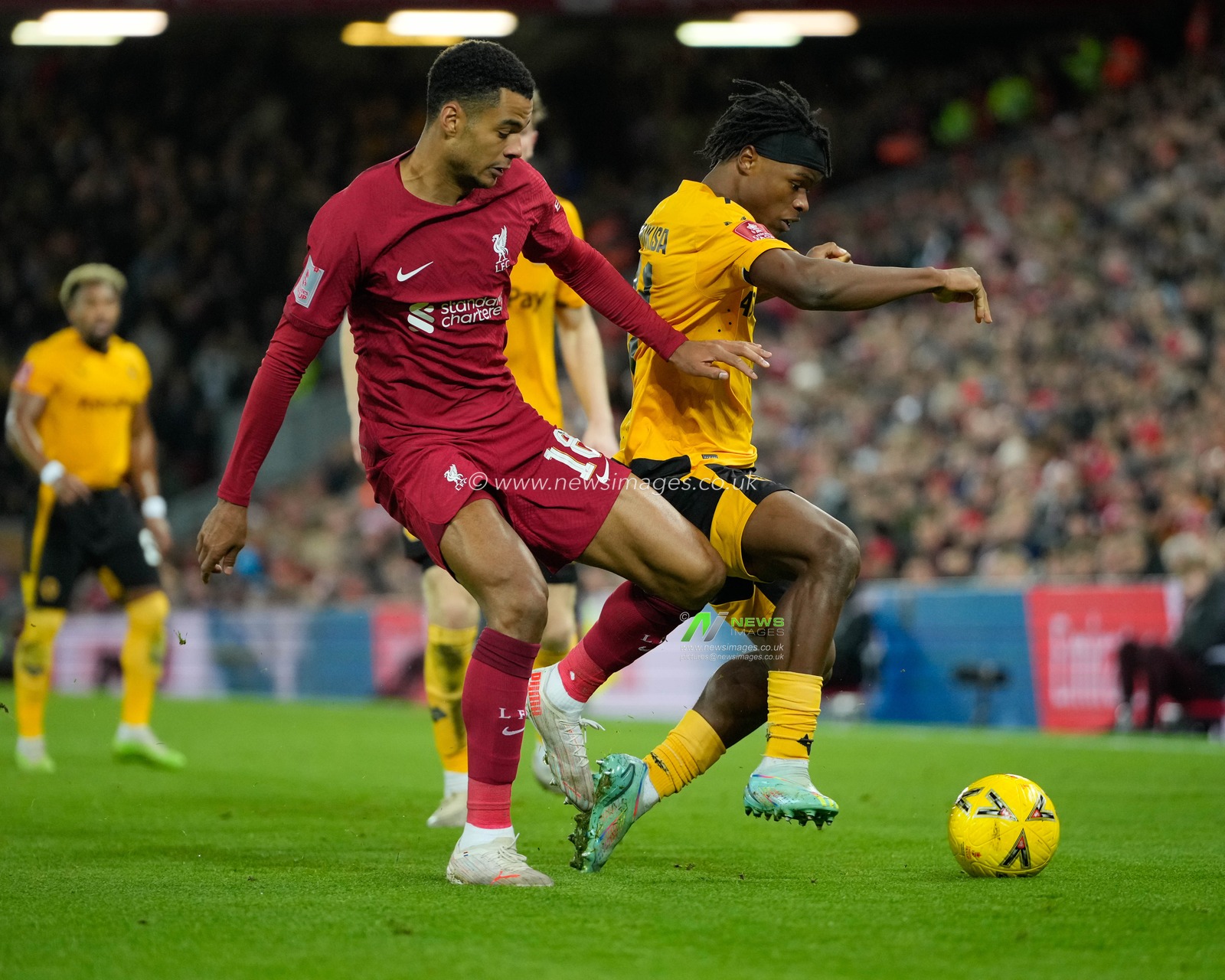 Cody Gakpo #18 of Liverpool competes for the ball with Dexter Lembikisa #81 of Wolverhampton Wanderers during the Emirates FA Cup Third Round match Liverpool vs Wolverhampton Wanderers at Anfield, Liverpool, United Kingdom, 7th January 2023

(Photo by Steve Flynn/News Images)