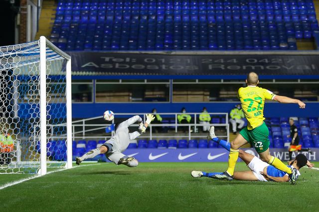 Sky Bet Championship Birmingham City v Norwich City