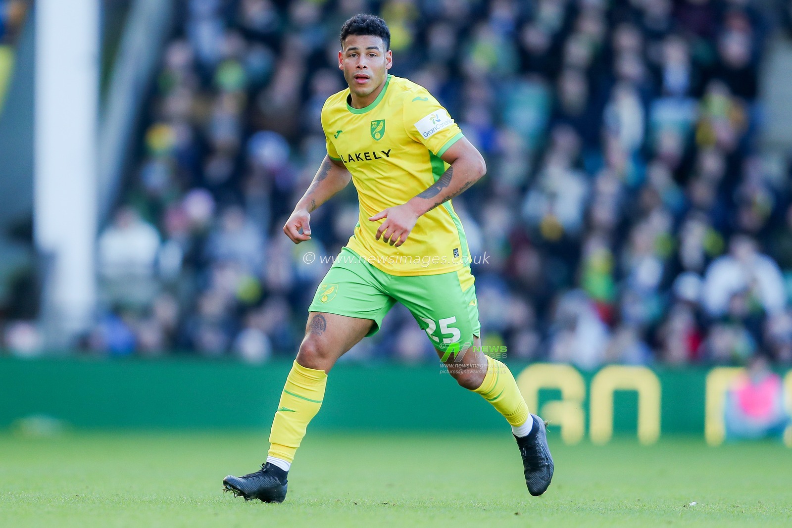 Onel Hernandez of Norwich City in action during the Sky Bet Championship match Norwich City vs Swansea City at Carrow Road, Norwich, United Kingdom, 25th January 2025

(Photo by Izzy Poles/News Images)