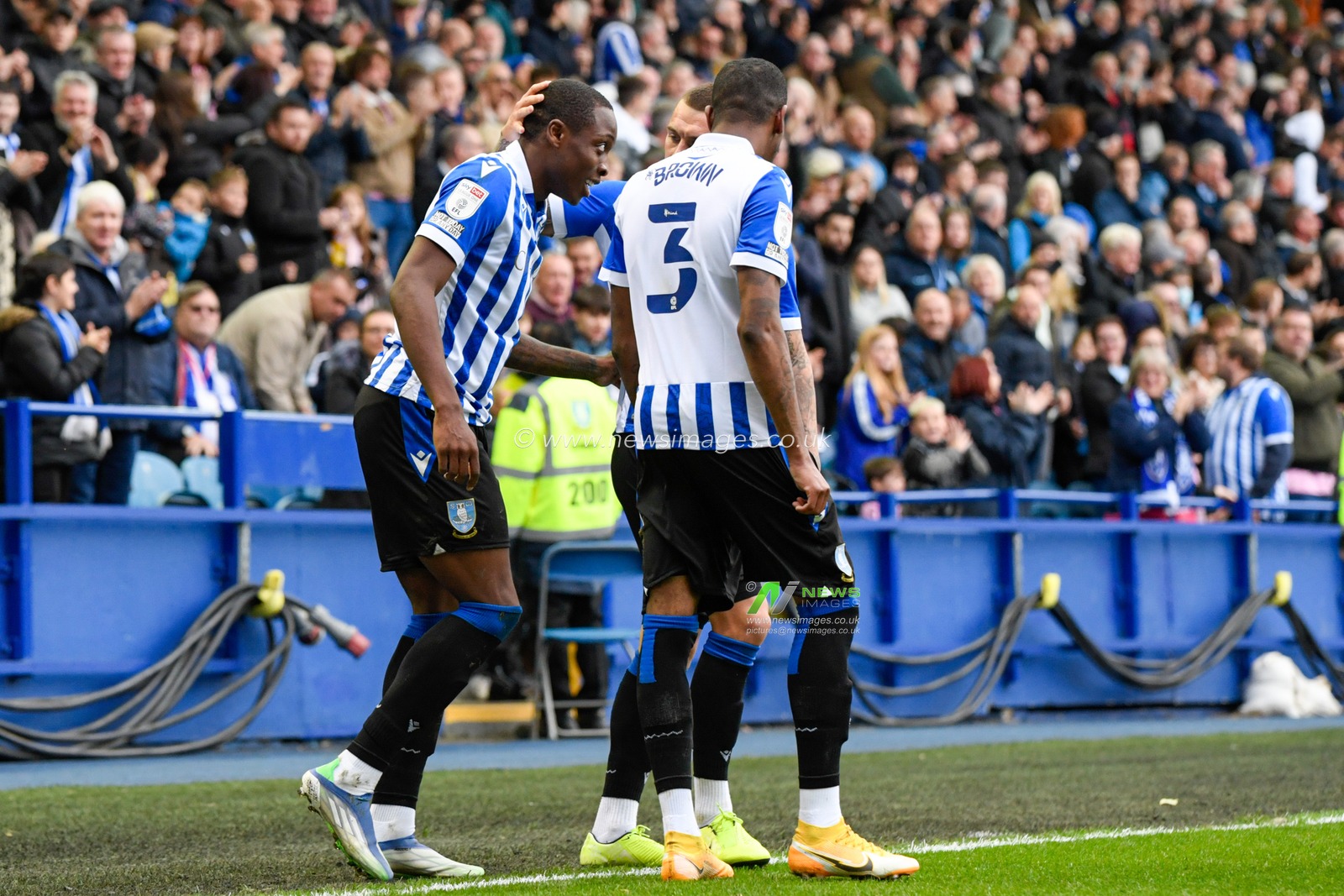 Dennis Adeniran #8 of Sheffield Wednesday celebrates scoring a goal to make it 1-0