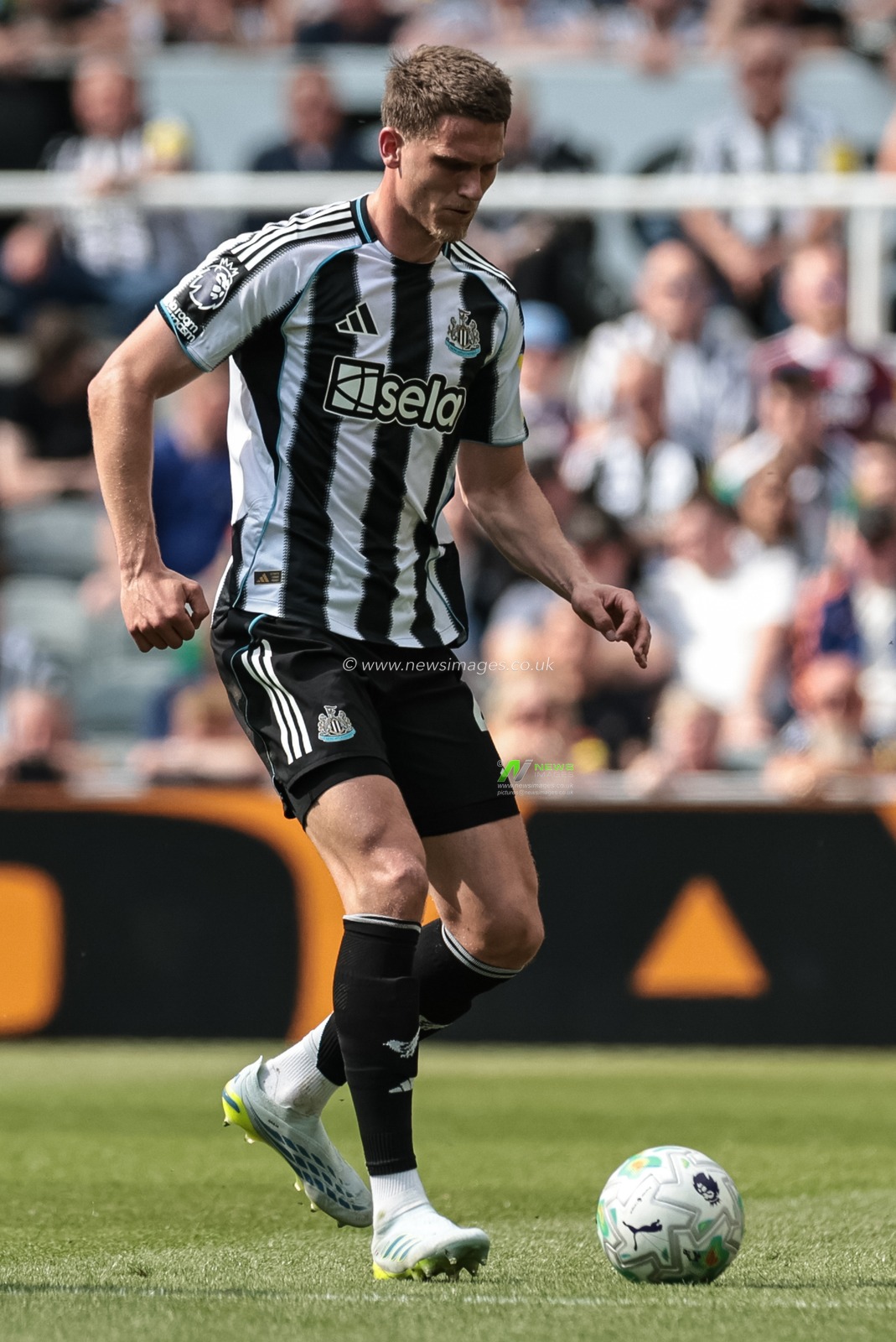 Sven Botman of Newcastle United during the Premier League match Newcastle Untied vs Brighton & Hove Albion at St. James's Park, Newcastle, United Kingdom on 02 May 2026

(Photo by Mark Cosgrove/News Images)