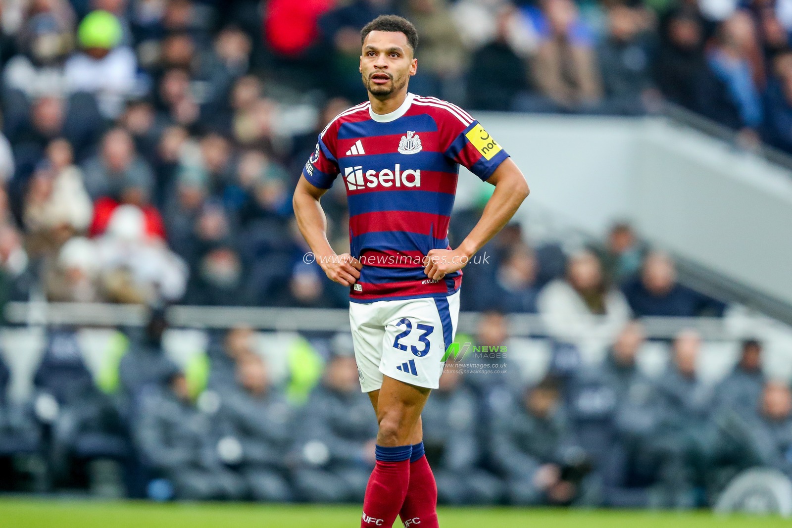 Jacob Murphy of Newcastle United looks on during the Premier League match Tottenham Hotspur vs Newcastle United at Tottenham Hotspur Stadium, London, United Kingdom, 4th January 2025

(Photo by Izzy Poles/News Images)