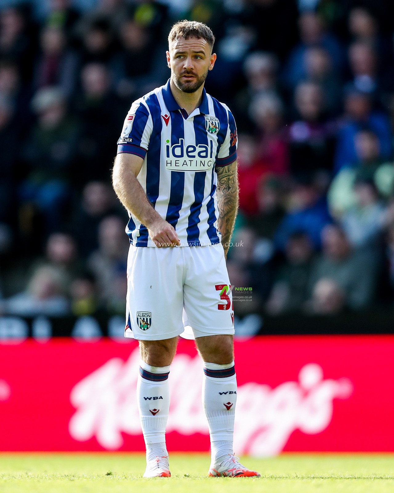 Adam Armstrong of West Bromwich Albion looks on during the Sky Bet Championship match Norwich City vs West Bromwich Albion at Carrow Road, Norwich, United Kingdom, 29th March 2025

(Photo by Izzy Poles/News Images)