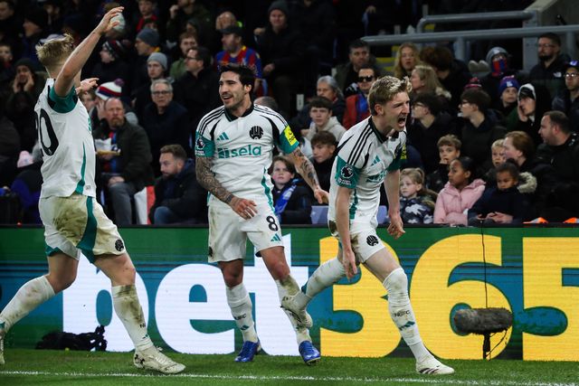 Premier League Crystal Palace v Newcastle United