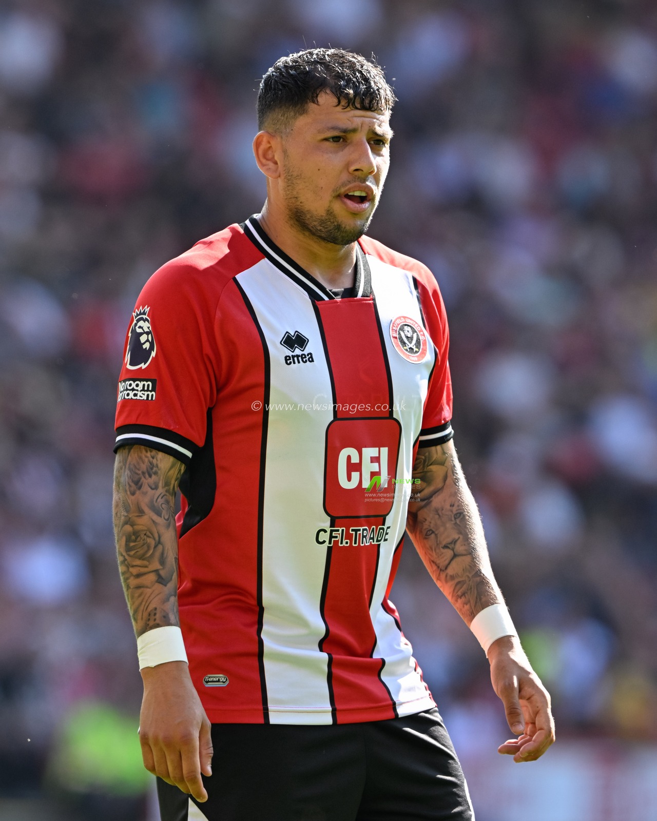 Gustavo Hamer of Sheffield United, during the Premier League match Sheffield United vs Tottenham Hotspur at Bramall Lane, Sheffield, United Kingdom, 19th May 2024

(Photo by Cody Froggatt/News Images)