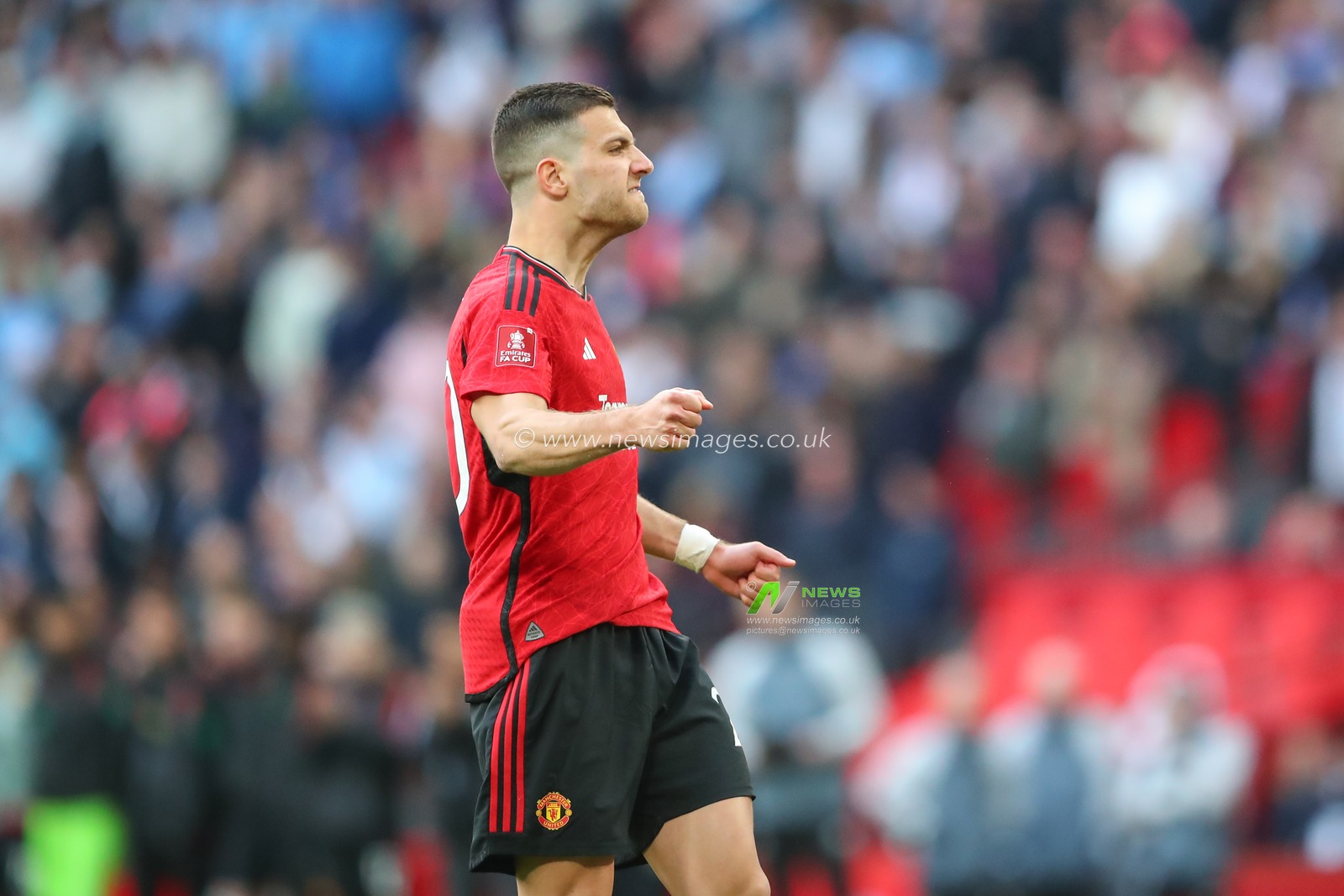 Diogo Dalot of Manchester United celebrates scoring his penalty during the penalty shootout, during the Emirates FA Cup Semi-Final match Coventry City vs Manchester United at Wembley Stadium, London, United Kingdom, 21st April 2024

(Photo by Gareth Evans/News Images)