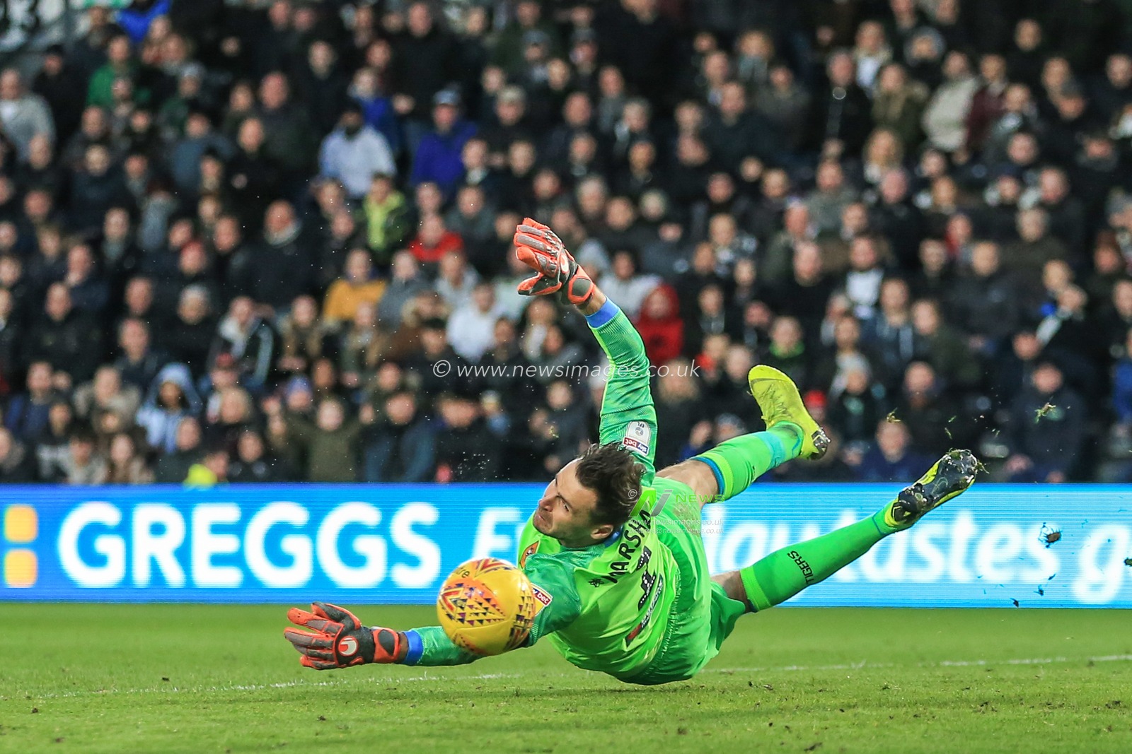 9th February 2019, Pride Park, Derby, England; Sky Bet Championship, Derby County vs Hull City ; David Marshall (01) of Hull City makes a fingertip save from Harry Wilson (07) of Derby County's shot


Credit: Mark Cosgrove/News Images 

English Football League images are subject to DataCo Licence