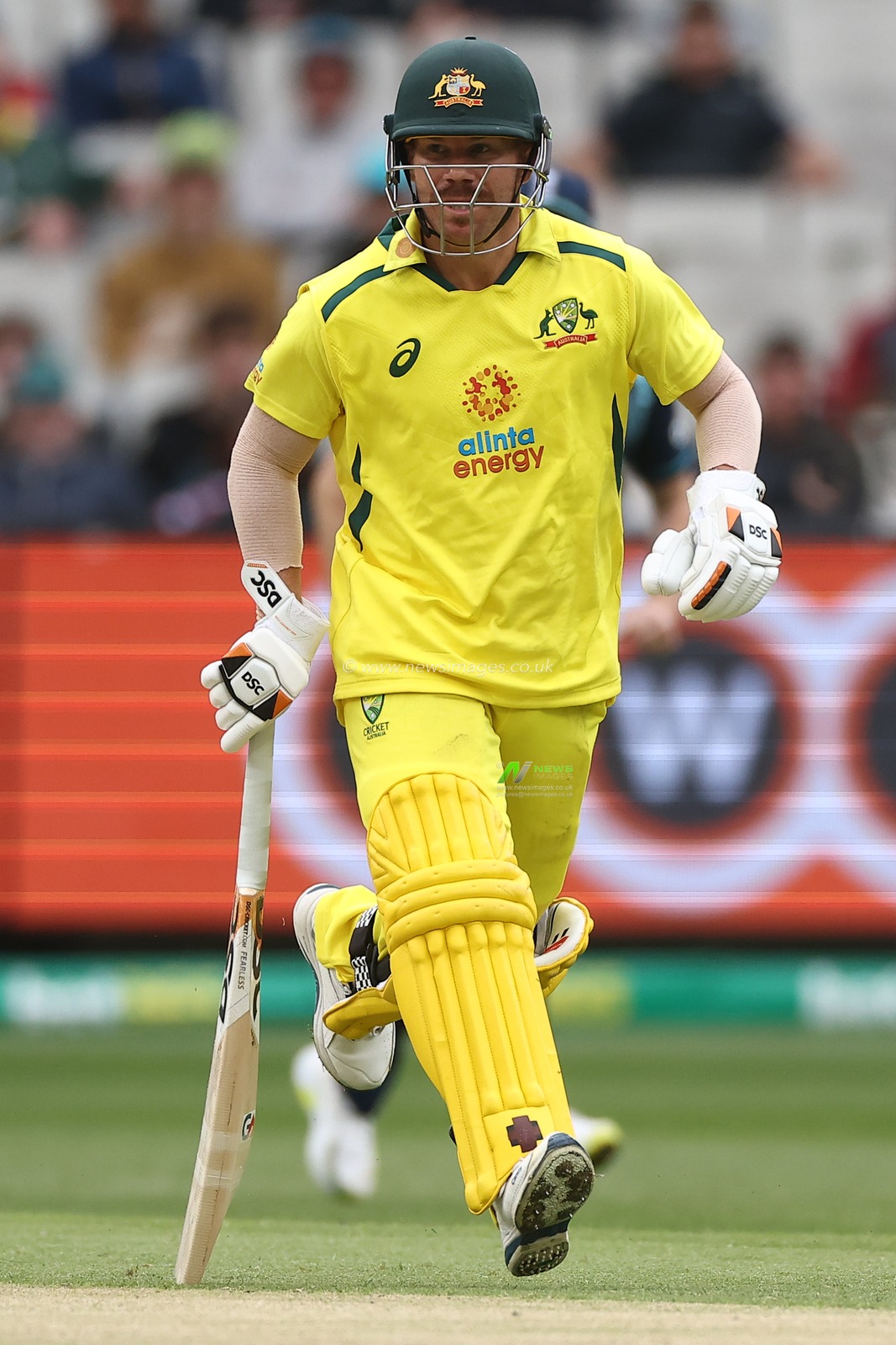 David Warner of Australia bats during the Dettol ODI Series match Australia vs England at Melbourne Cricket Ground, Melbourne, Australia, 22nd November 2022

(Photo by Patrick Hoelscher/News Images)