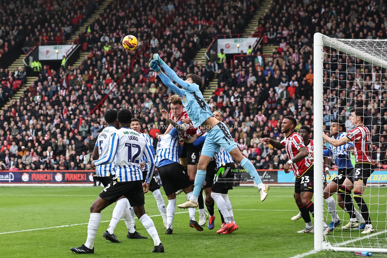 James Beadle of Sheffield Wednesday punches clear from a corner during the Sky Bet Championship match Sheffield United vs Sheffield Wednesday at Bramall Lane, Sheffield, United Kingdom, 10th November 2024

(Photo by Mark Cosgrove/News Images)
