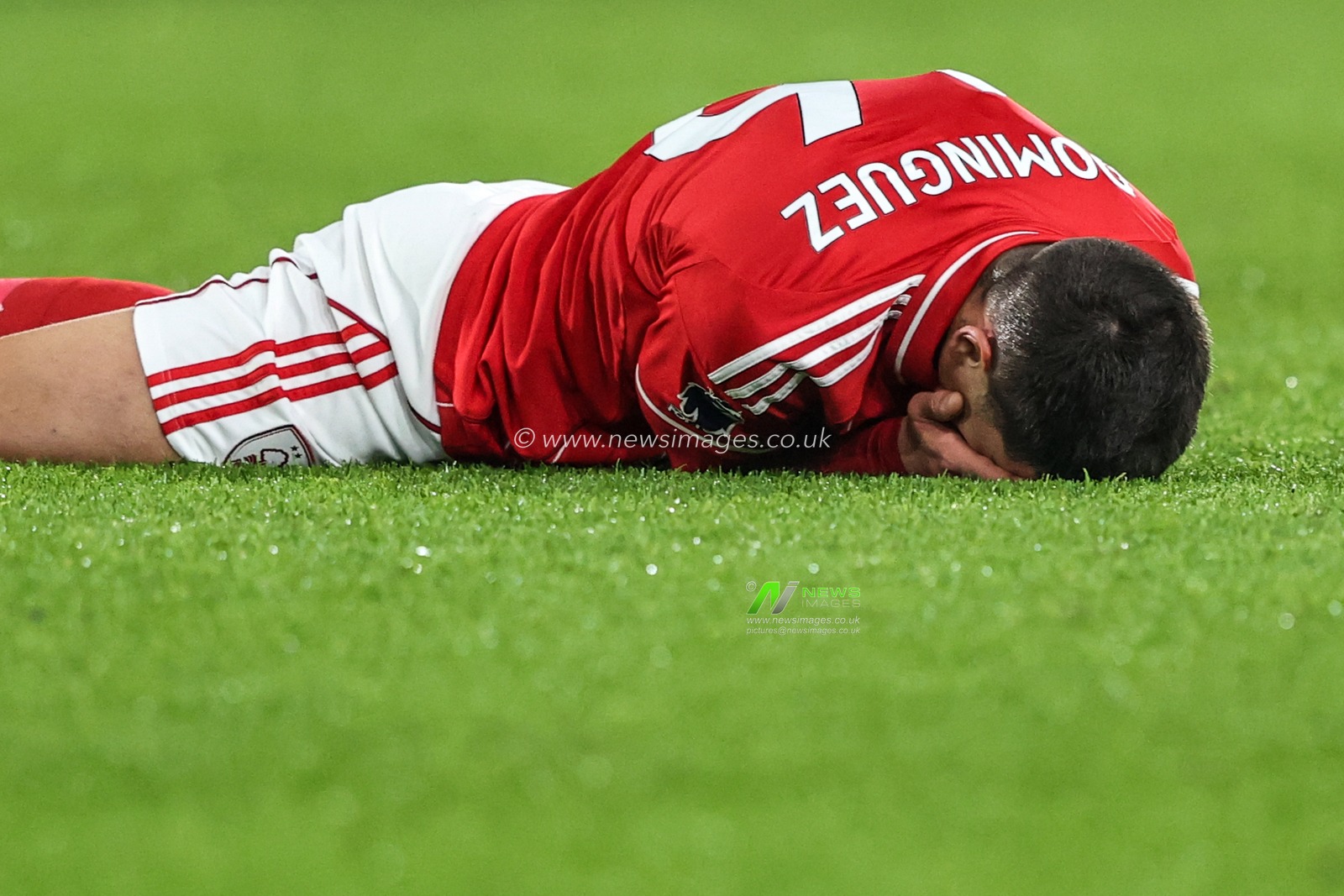 Nicolas Dominguez of Nottingham Forest takes a knock during the Premier League match Nottingham Forest vs Arsenal at City Ground, Nottingham, United Kingdom, 17th January 2026

(Photo by Alfie Cosgrove/News Images)