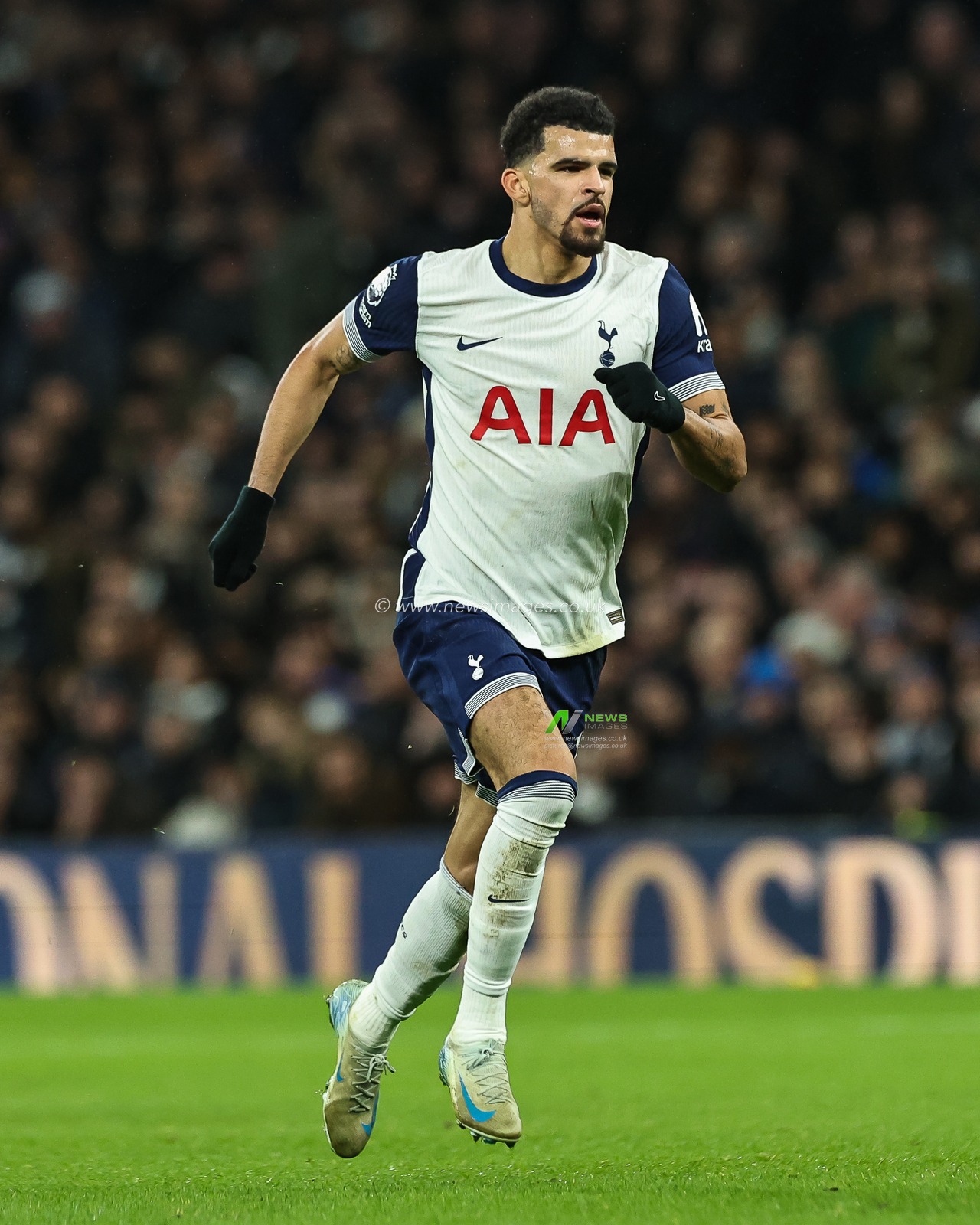 Dominic Solanke of Tottenham Hotspur during the Premier League match Tottenham Hotspur vs Chelsea at Tottenham Hotspur Stadium, London, United Kingdom, 8th December 2024

(Photo by Mark Cosgrove/News Images)