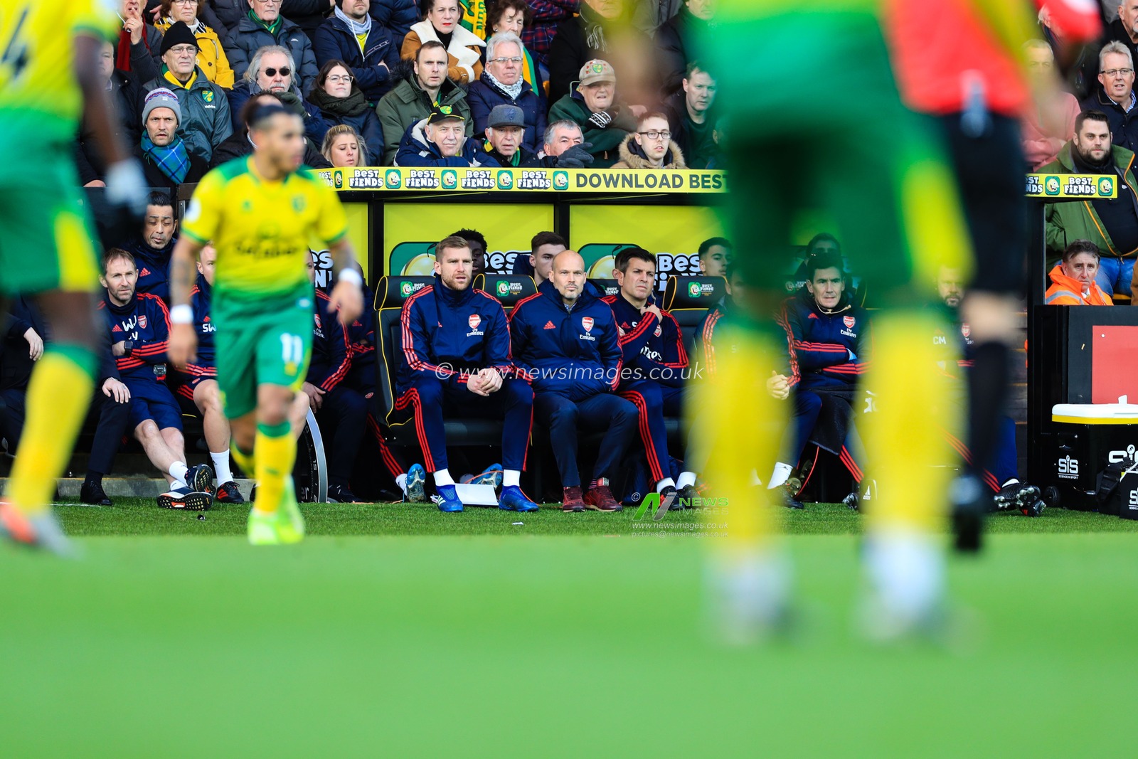 1st December 2019, Carrow Road, Norwich, England; Premier League, Norwich City v Arsenal : Freddie Ljungberg watches the game unfold during his first match as interim manager

Credit: Georgie Kerr/News Images
