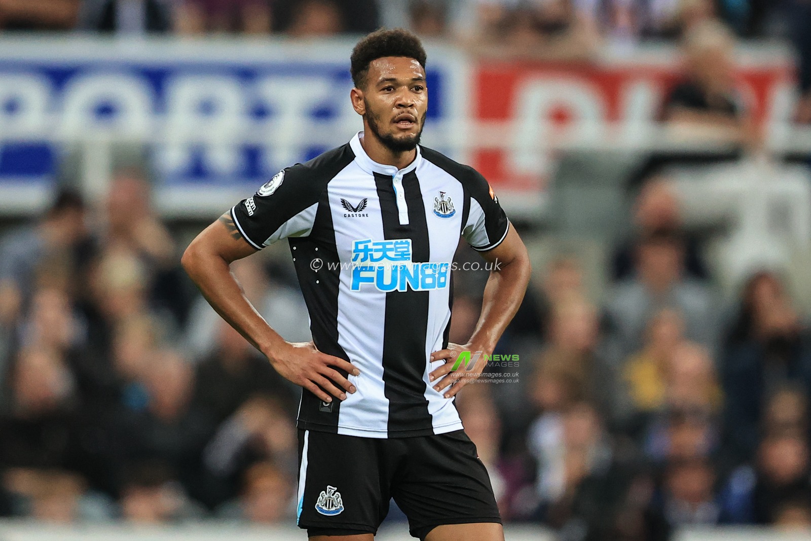 Joelinton #7 of Newcastle United during the game