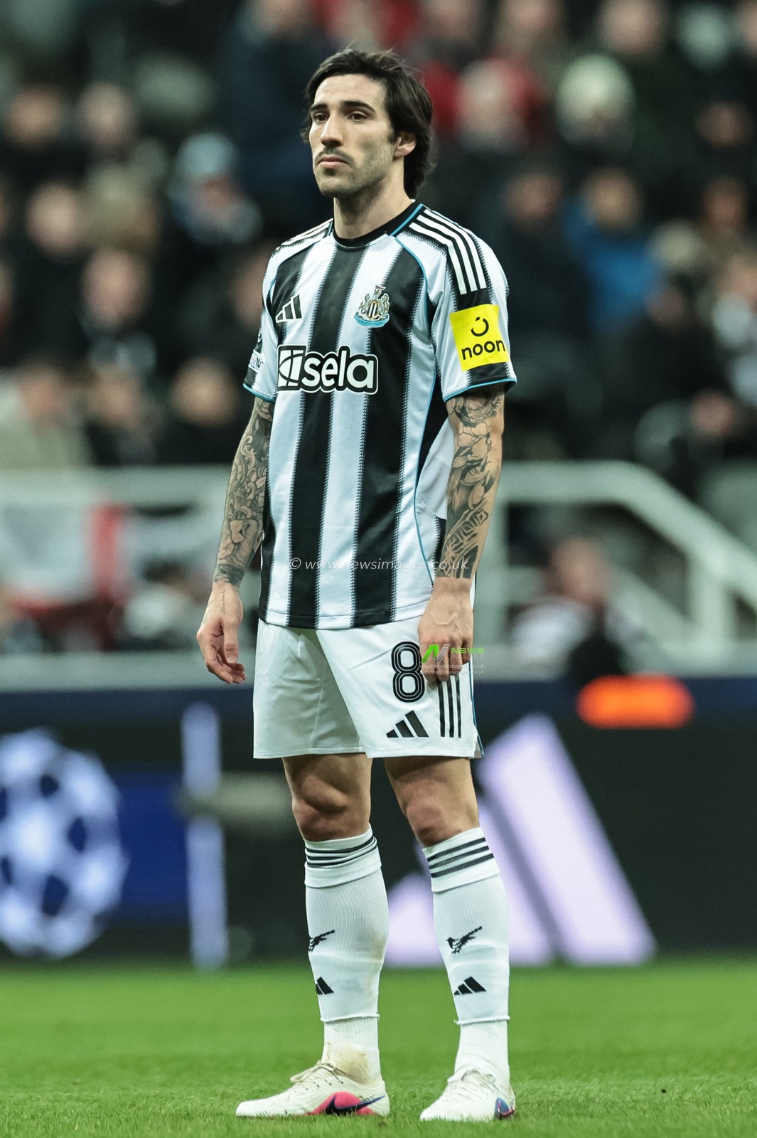 Sandro Tonali of Newcastle Untied during the UEFA Champions League Knockout Round Play-offs Newcastle Untied vs Qarabag at St. James's Park, Newcastle, United Kingdom on 24 February 2026

(Photo by Mark Cosgrove/News Images)