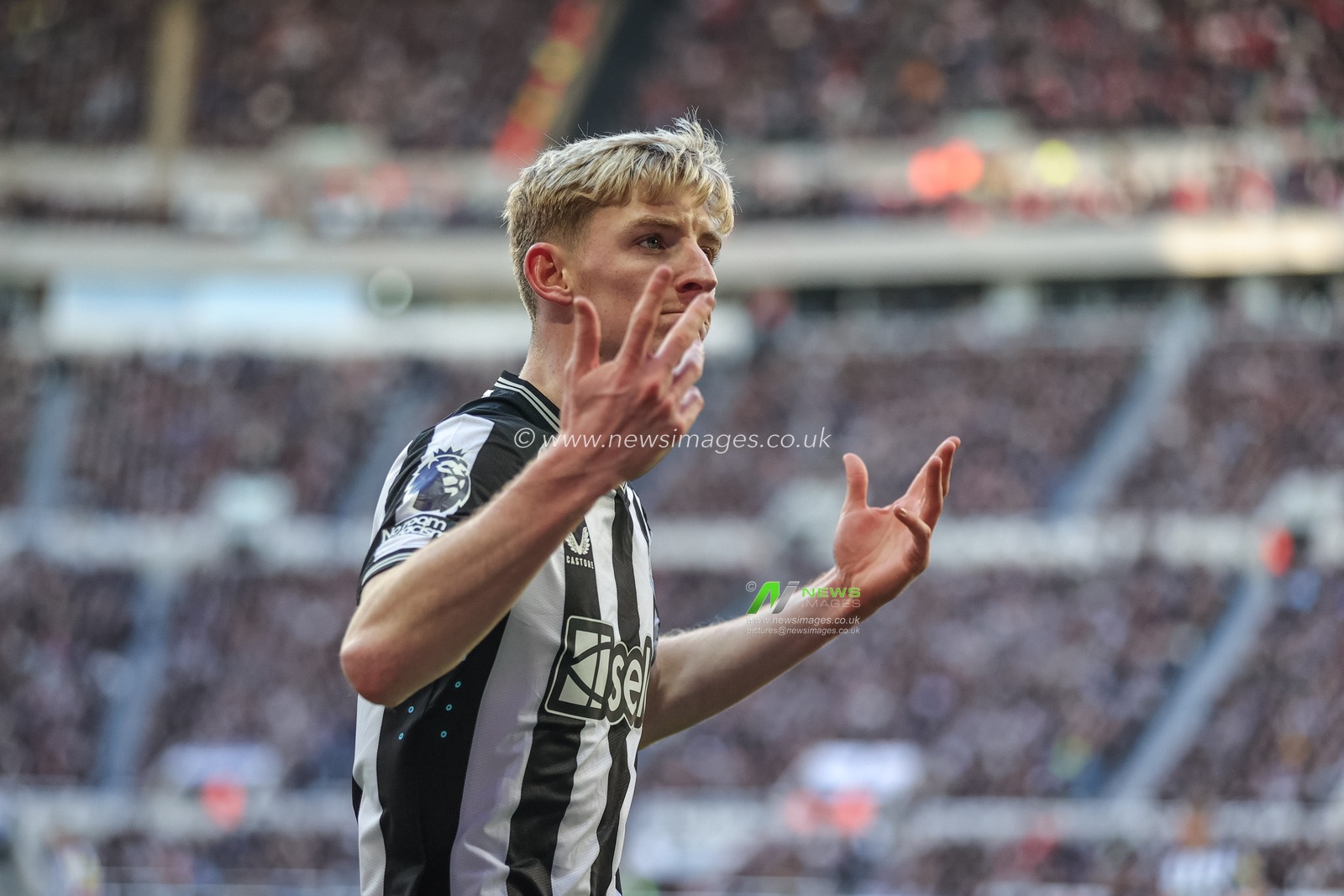 Anthony Gordon of Newcastle United gees up the home fans during the Premier League match Newcastle United vs Nottingham Forest at St. James's Park, Newcastle, United Kingdom, 26th December 2023

(Photo by Mark Cosgrove/News Images)