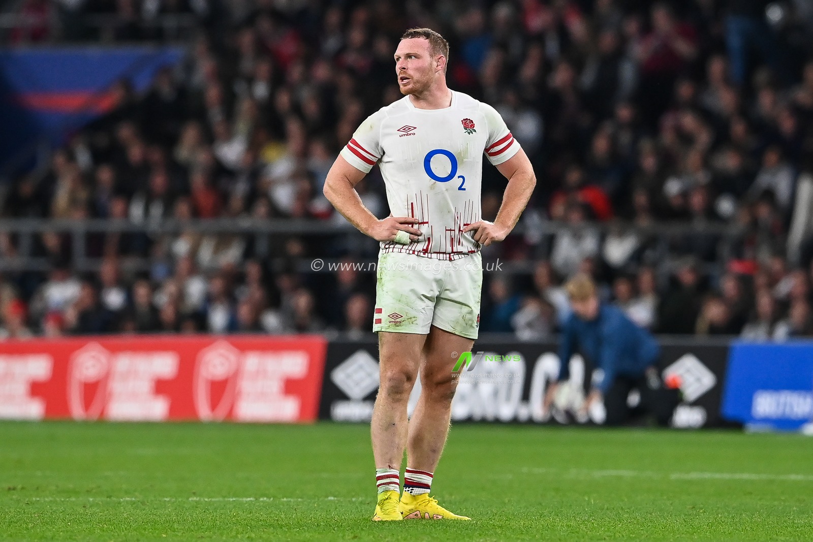 Sam Simmonds of England during the Autumn internationals match England vs Japan at Twickenham Stadium, Twickenham, United Kingdom, 12th November 2022

(Photo by Craig Thomas/News Images)
