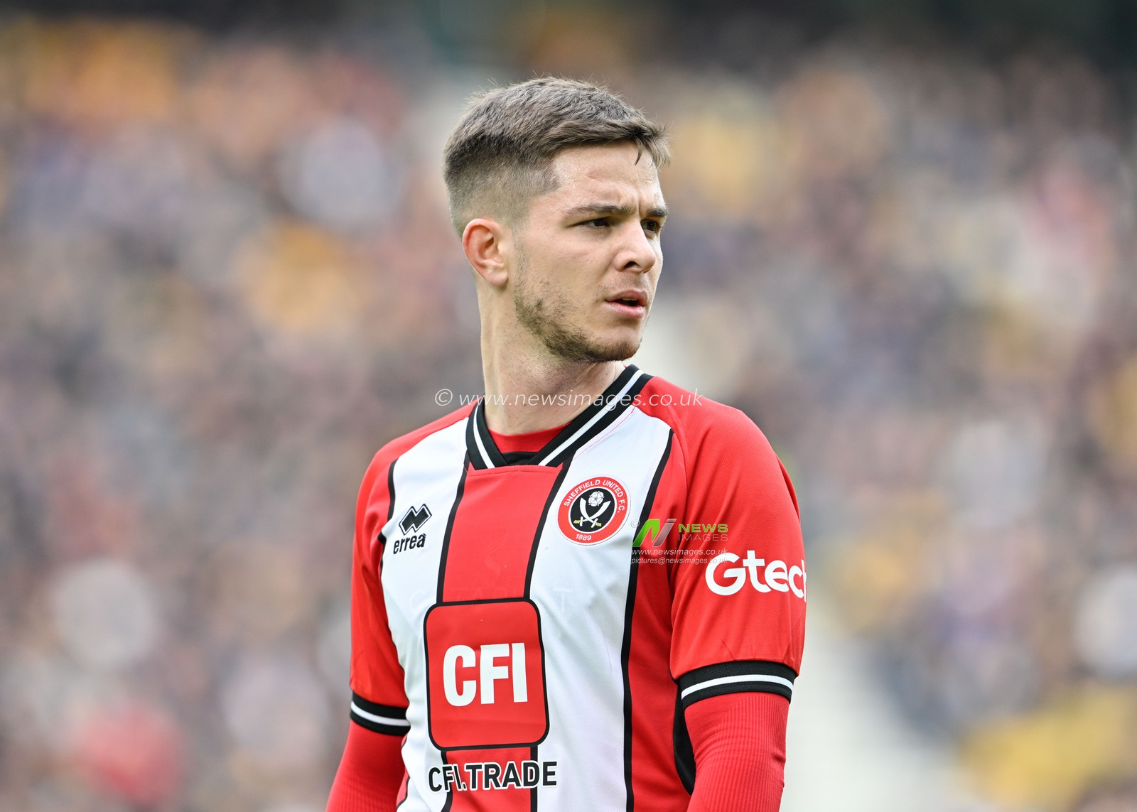 Gustavo Hamer of Sheffield United, during the Premier League match Wolverhampton Wanderers vs Sheffield United at Molineux, Wolverhampton, United Kingdom, 25th February 2024

(Photo by Cody Froggatt/News Images)