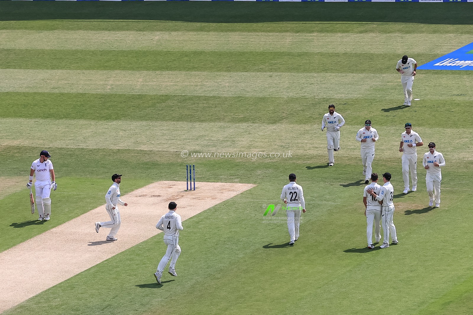 Trent Boult of New Zealand celebrates the wicket of Alex Lees of England with team mates