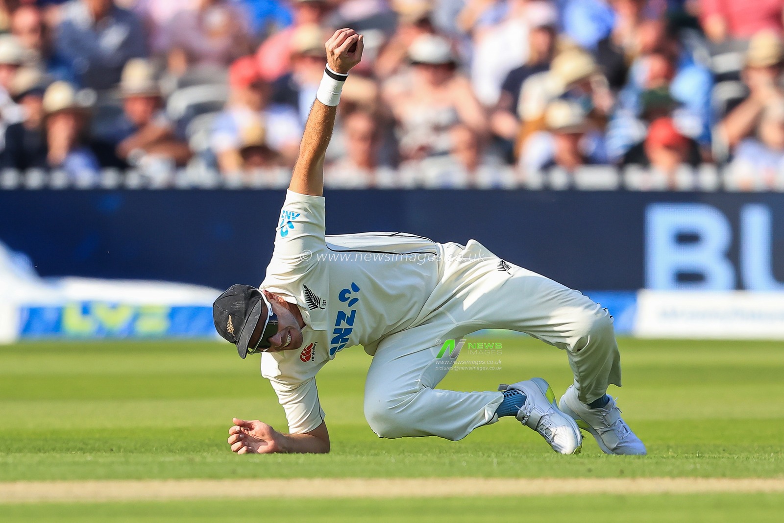 Tim Southee of New Zealand catches Joe Root of England